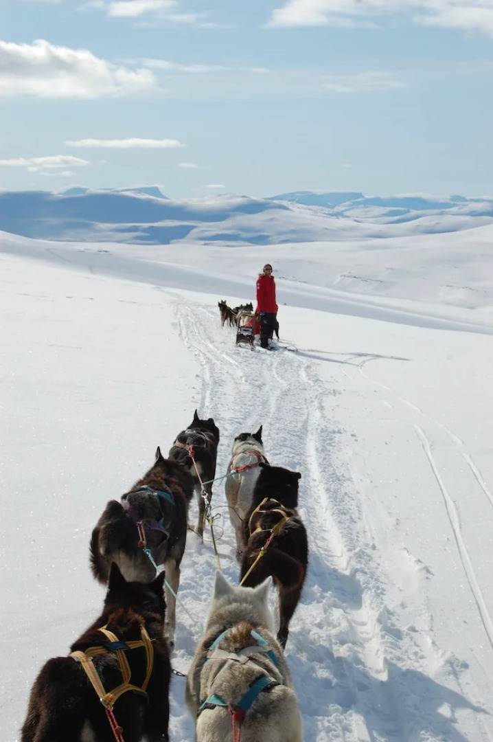 Målselv Mountain Village