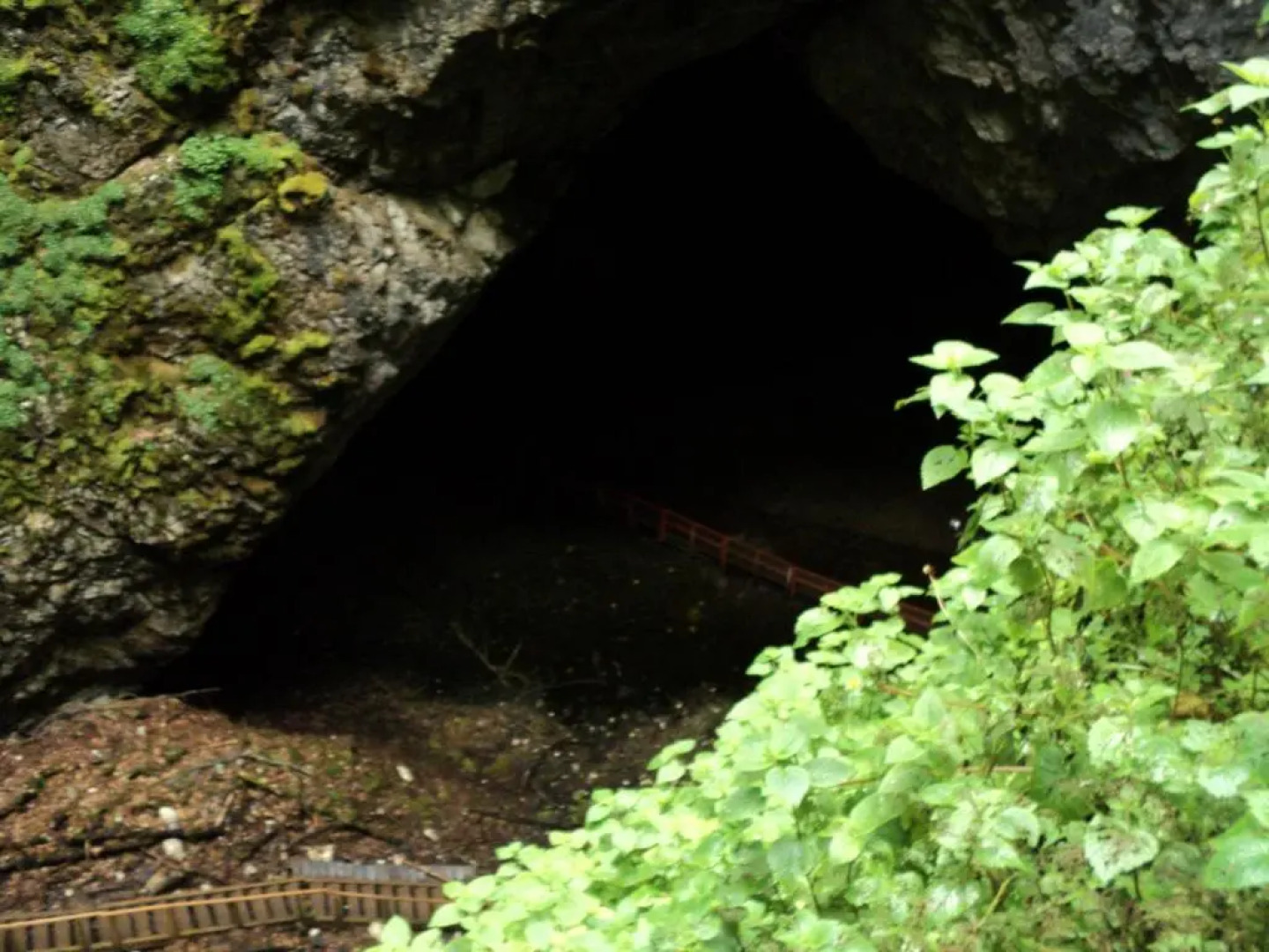 Cabana Suvenirurilor