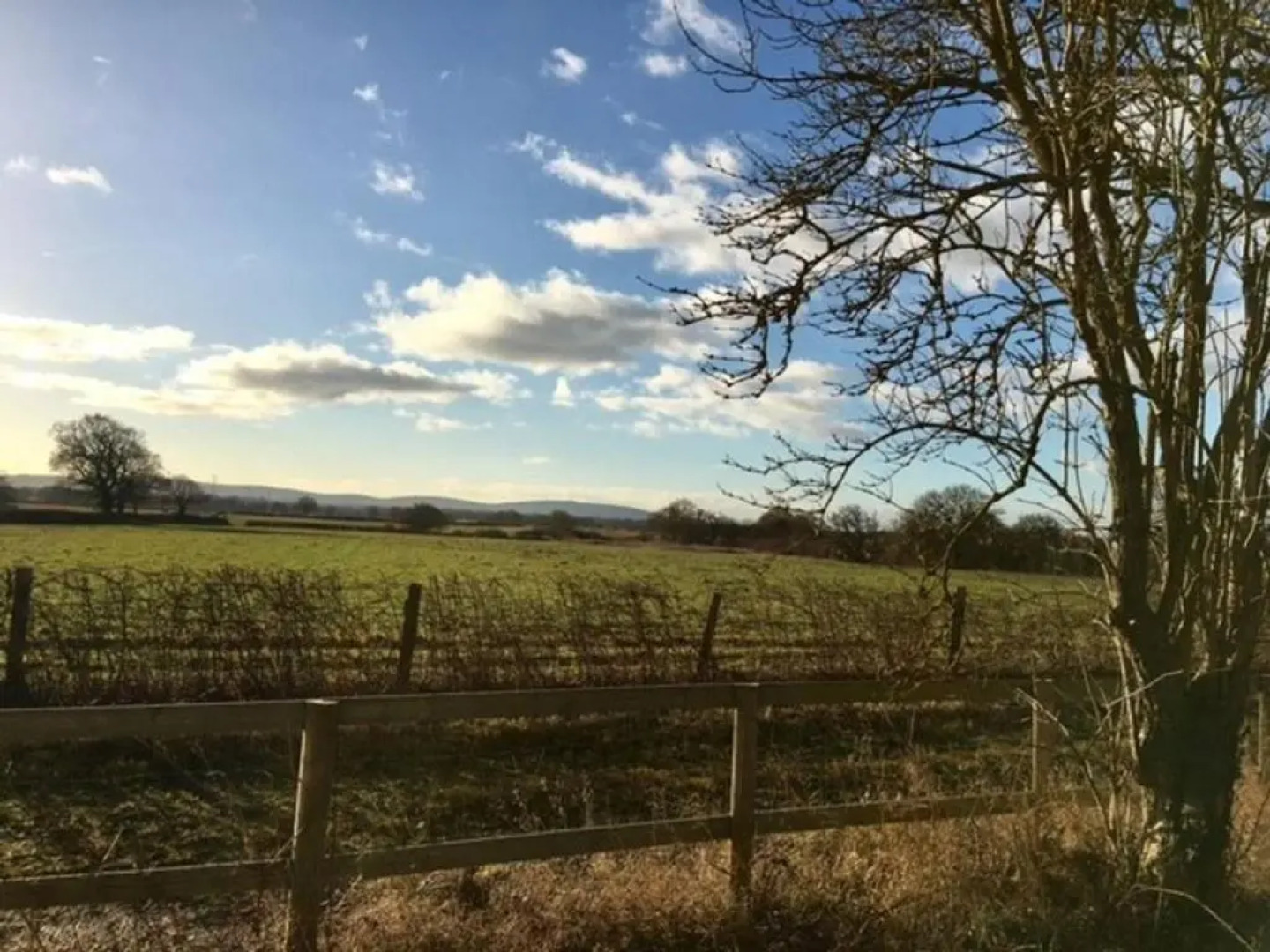 South cottage · Rural gem in the heart of the Sussex countryside