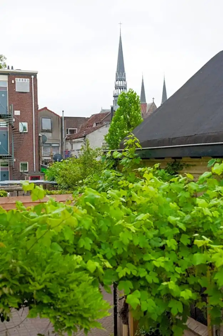 Het Suikerpandje