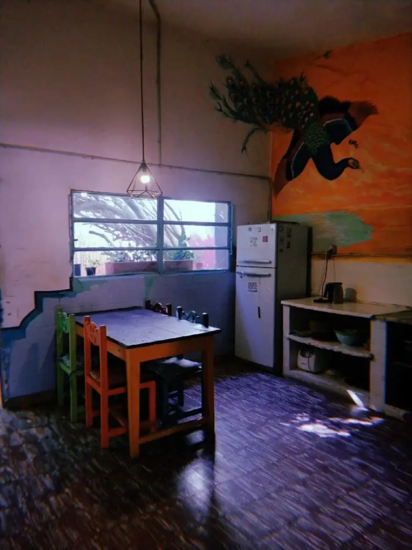 Hostel Jaracanda