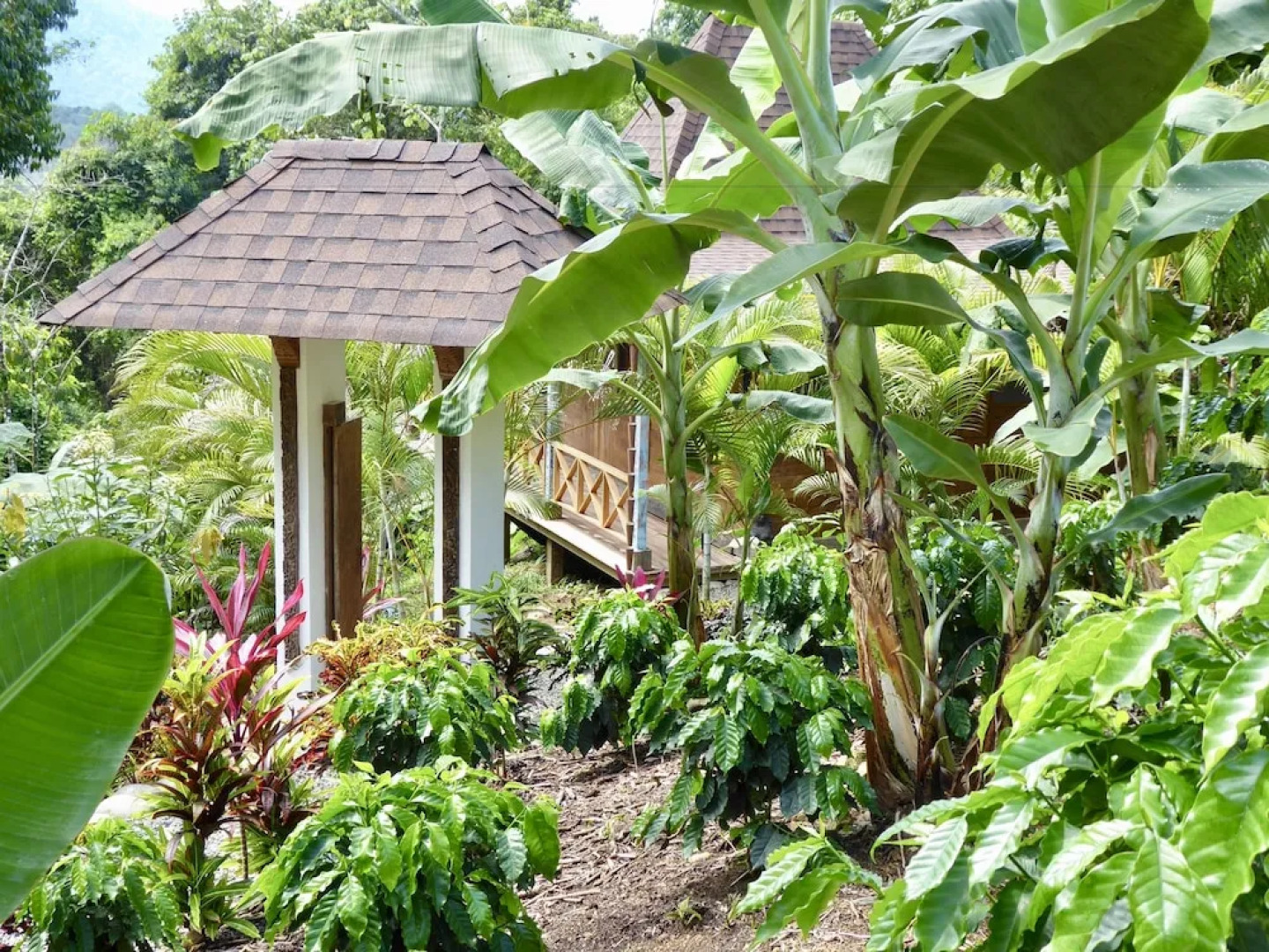 Uvita Bali Bosque Retreat