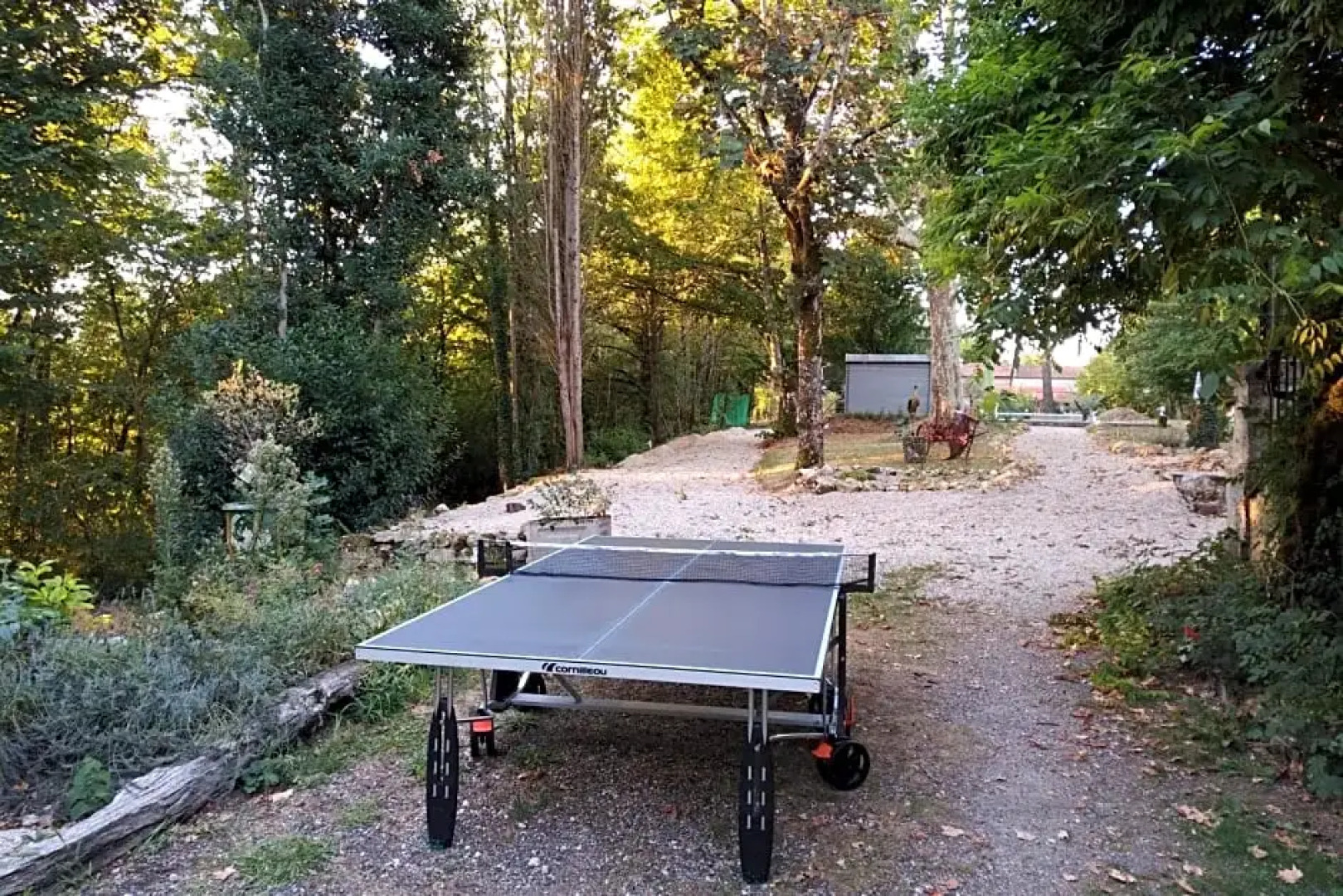 Le Figuier de Pauline