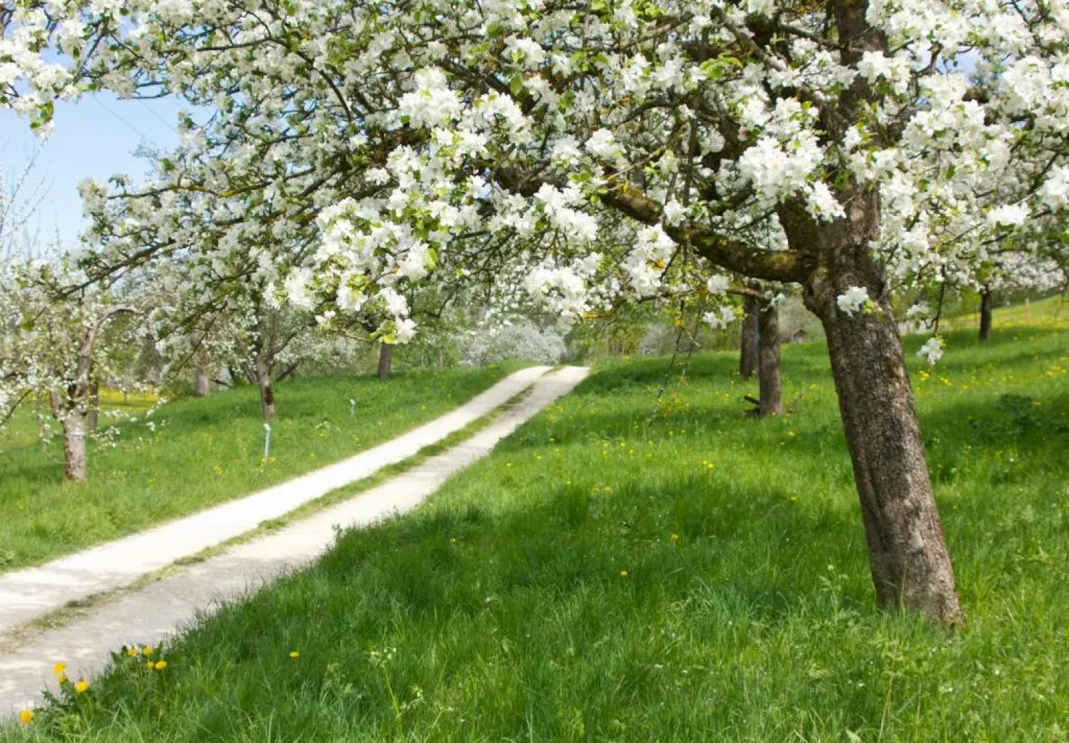 Gasthof Restaurant Hirsch