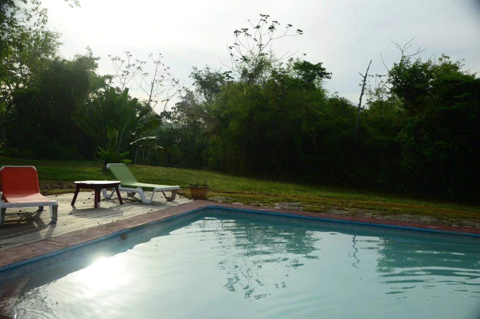 Howler Monkey Resort