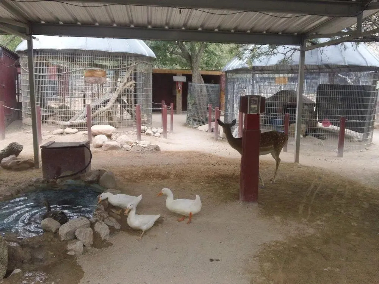 Bonnie Springs Ranch Motel