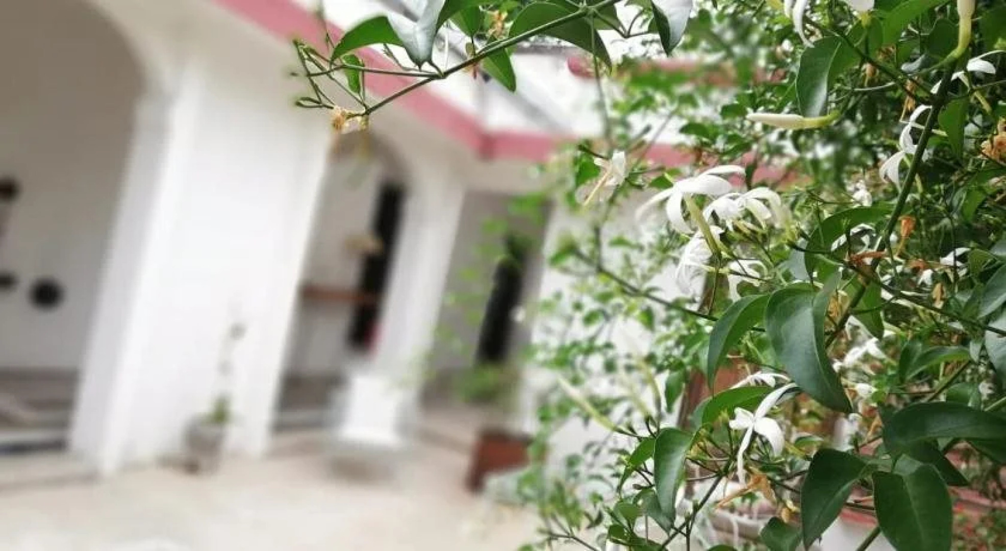 La Casona Hotel Boutique