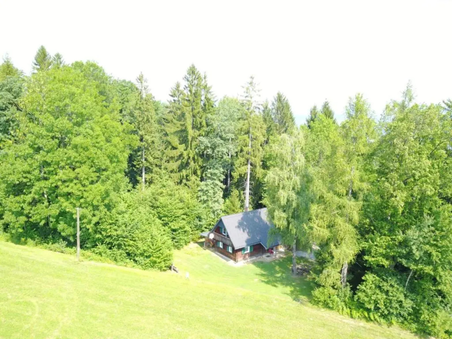 Gregor's Ferienhaus im Wald