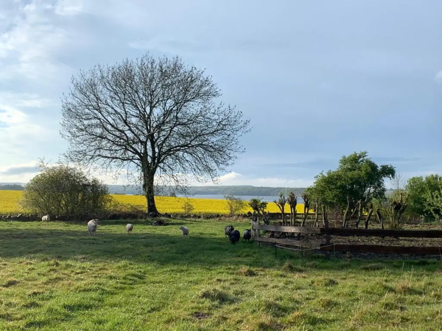 Hørhaven Bed and Breakfast