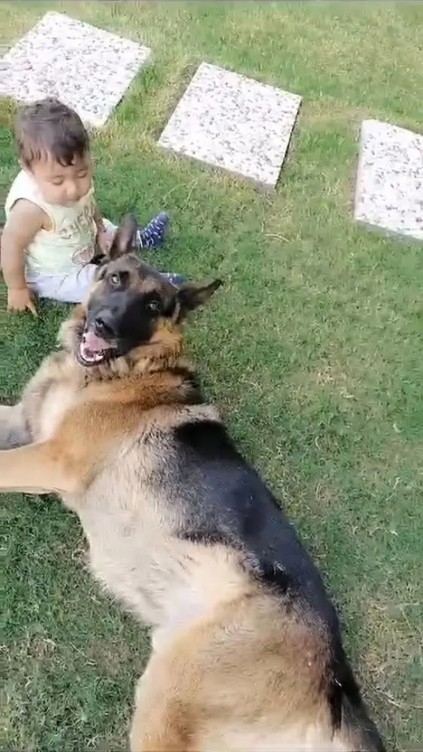 Welllife Hotels & Restaurant