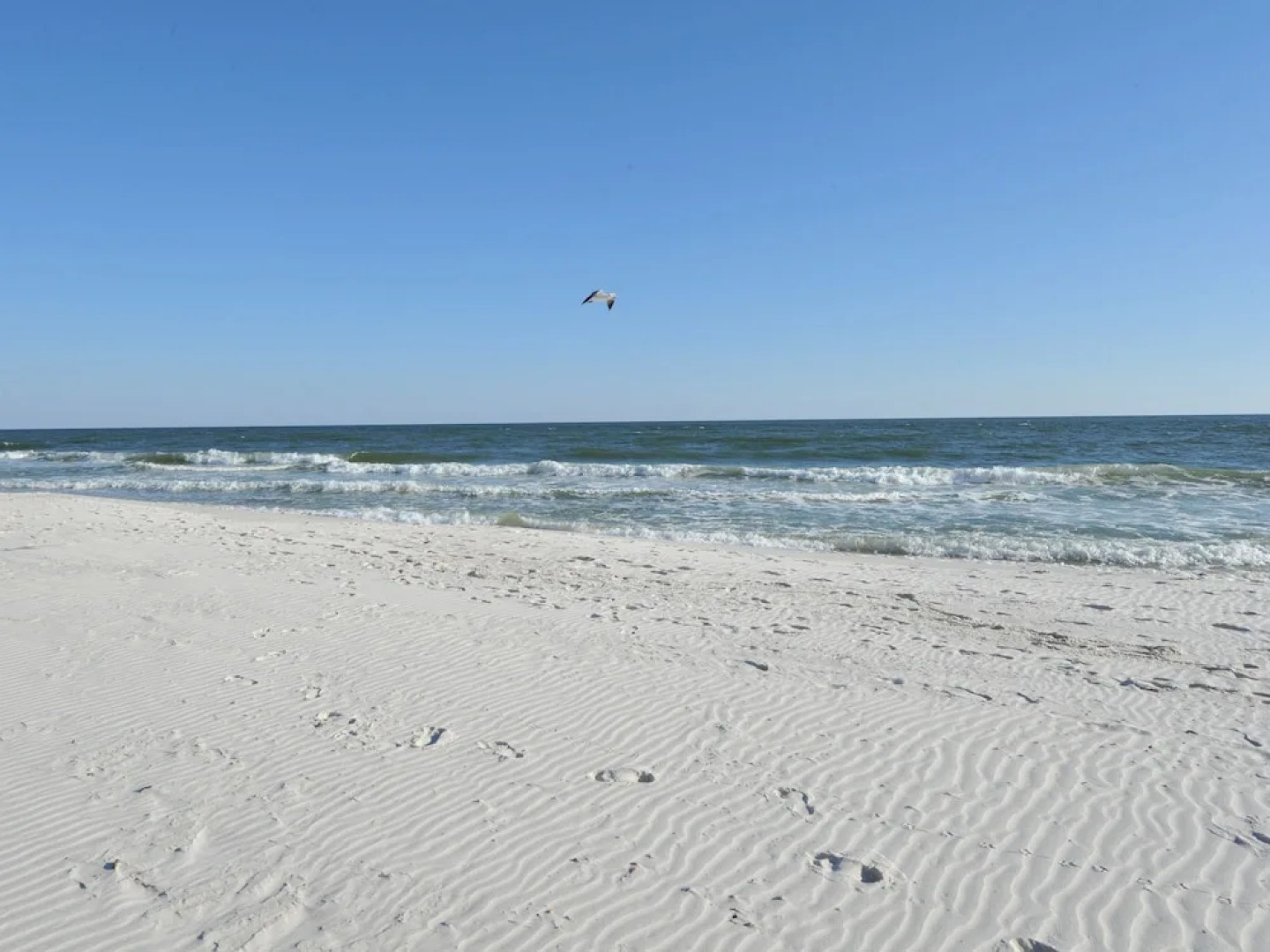 San Carlos Condominiums by Wyndham Vacation Rentals