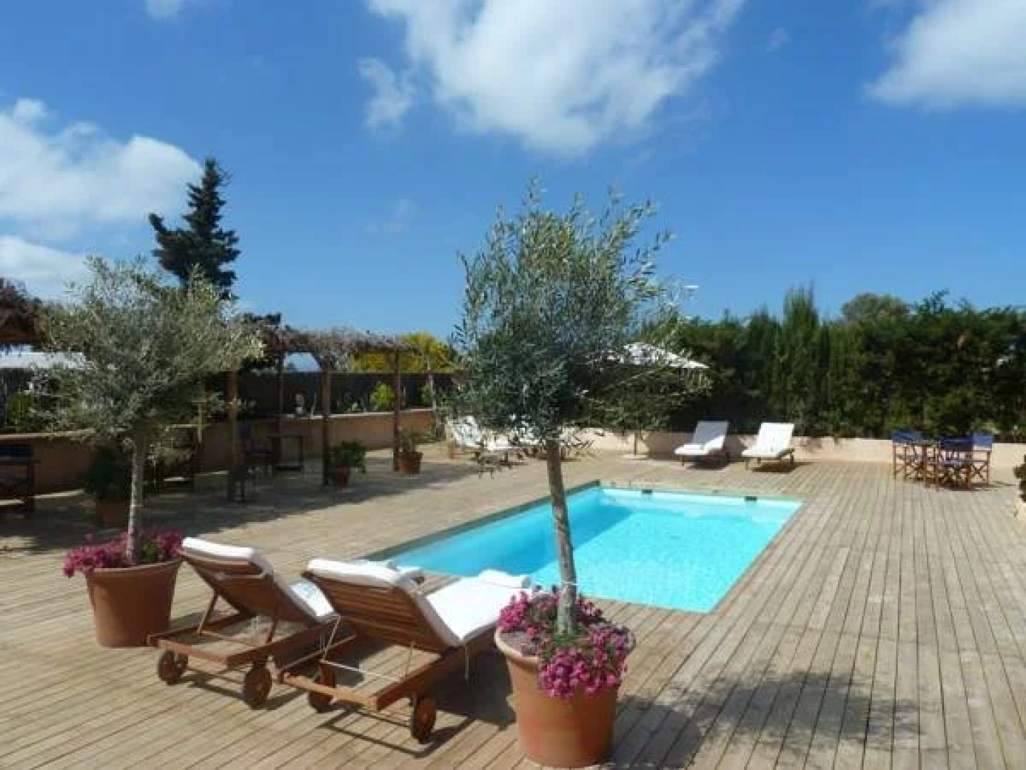 Can Aisha - Adults Only