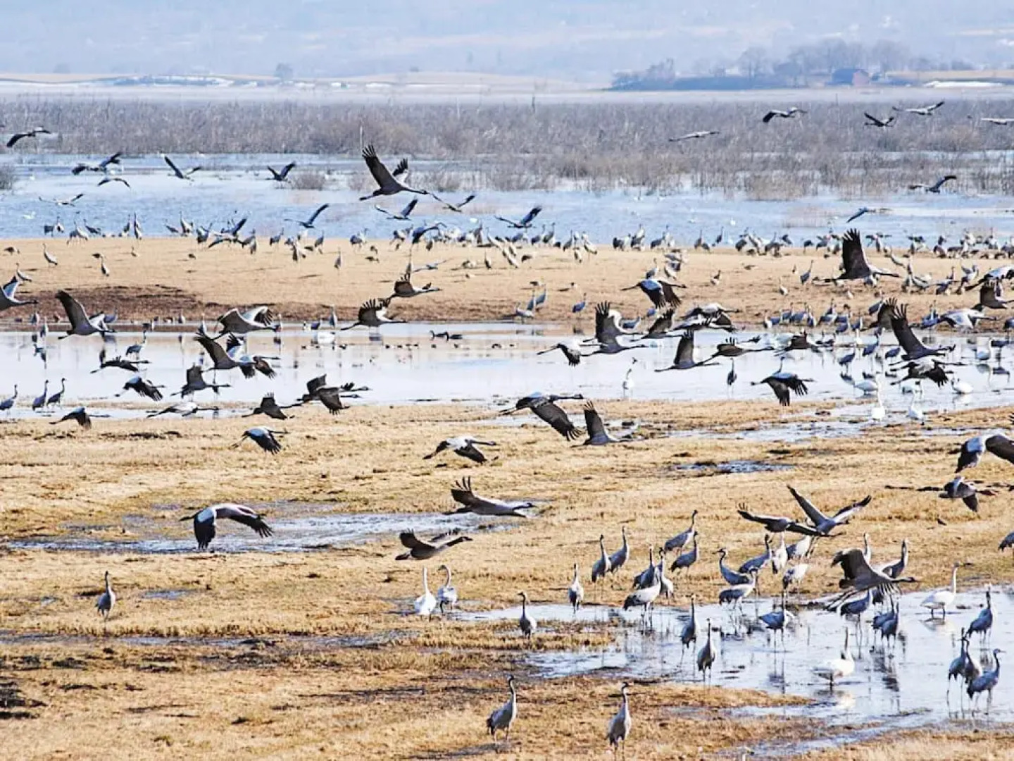 Holiday Home in Vara