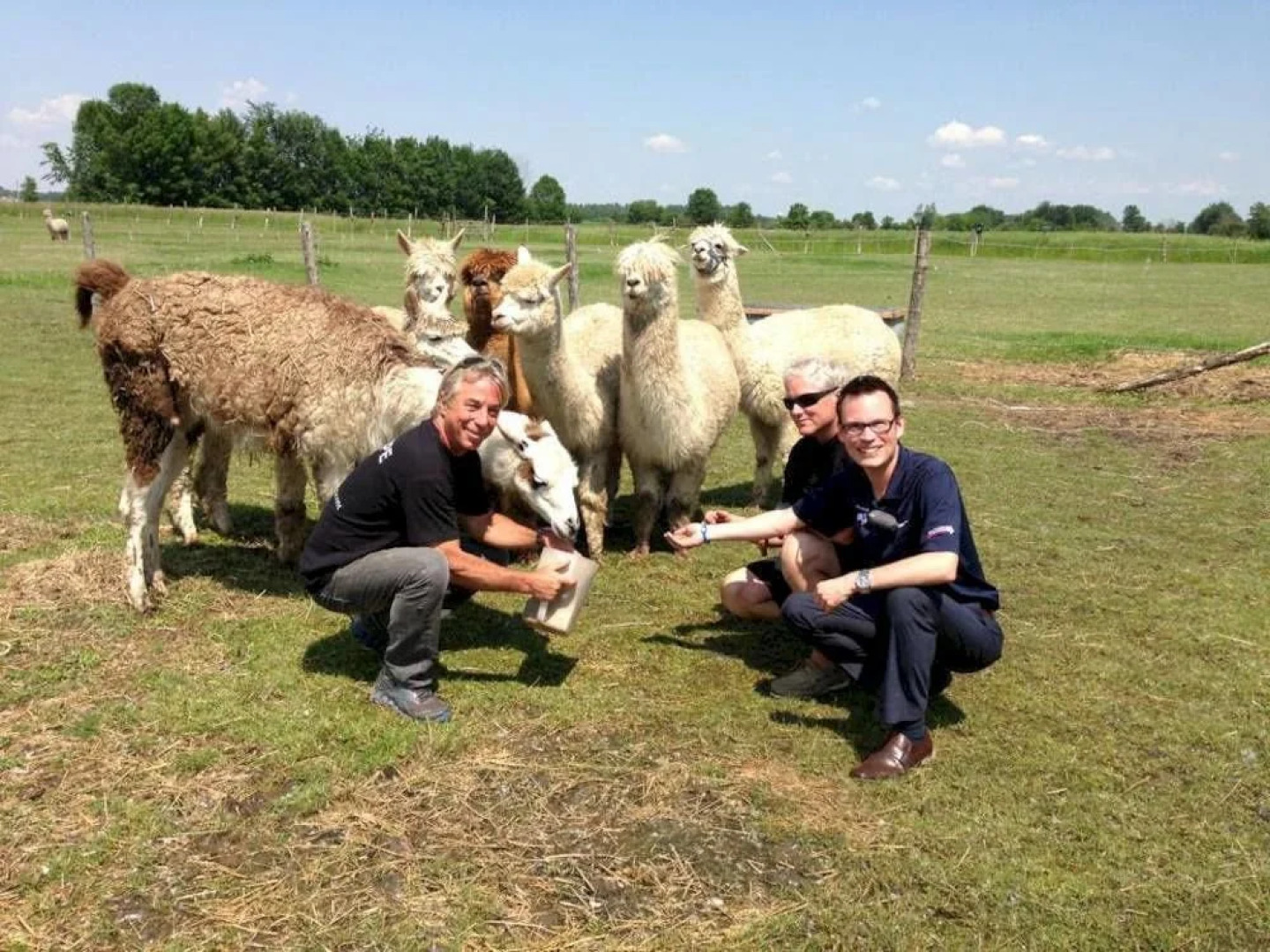 Les Tipieau Domaine Pourki