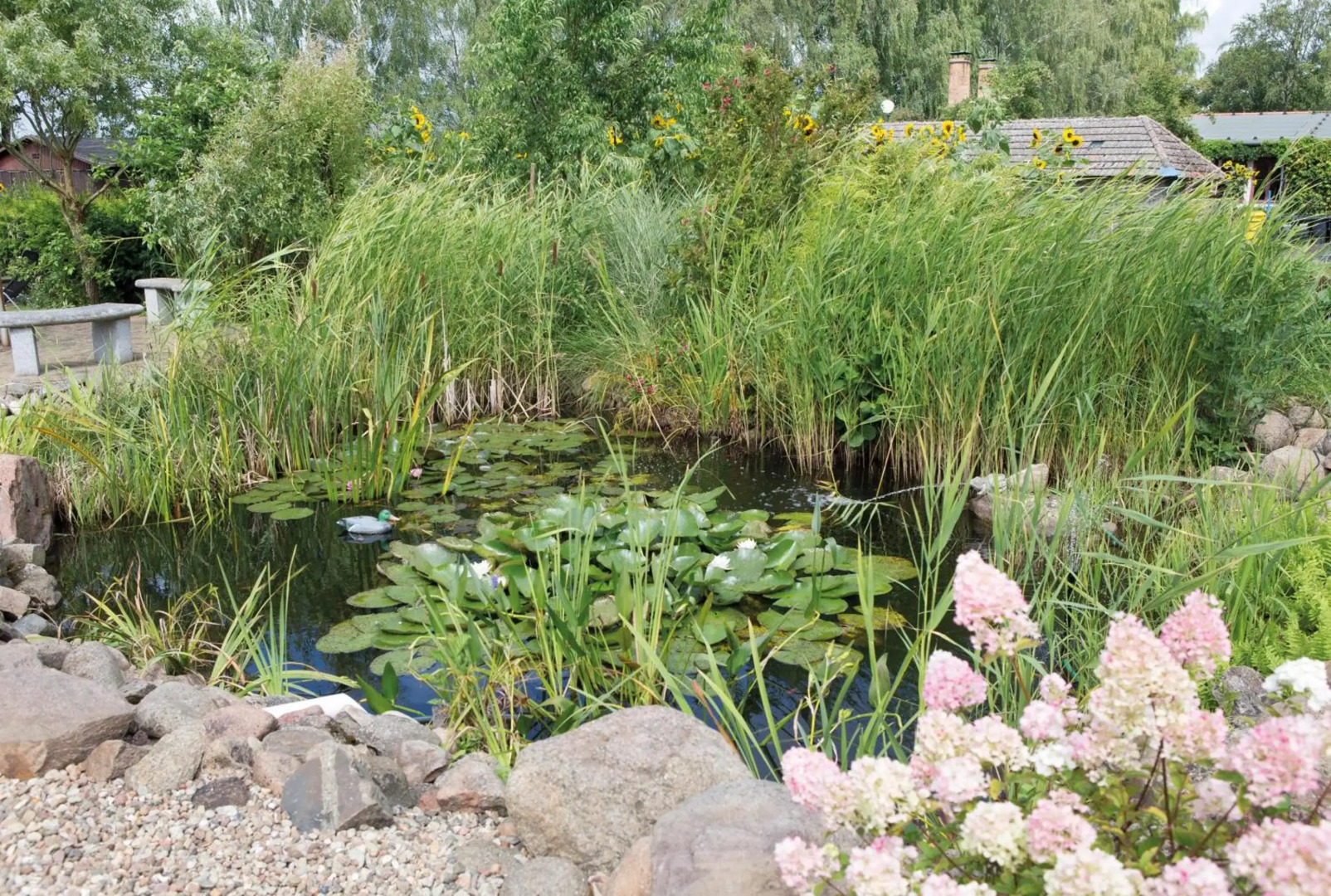 Apartmenthaus am Grienericksee