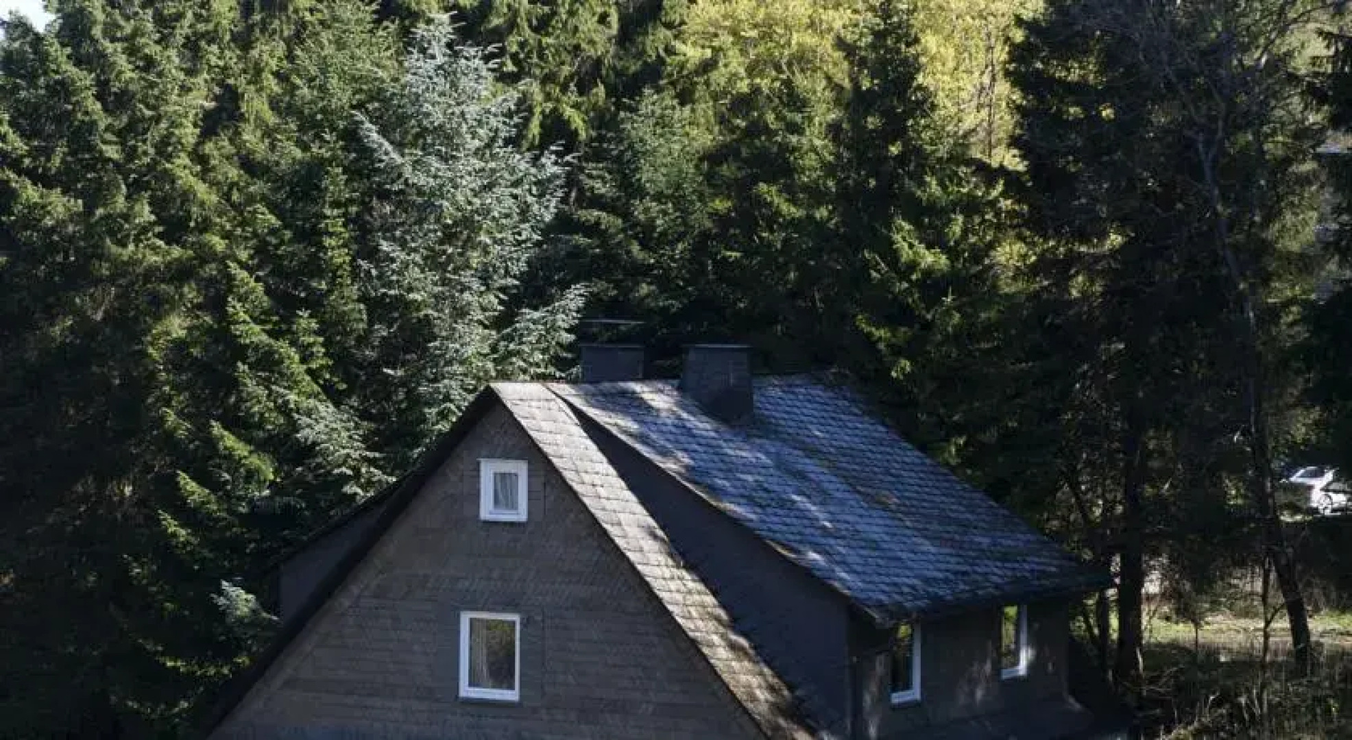 Ferienhaus 060 Waldhaus