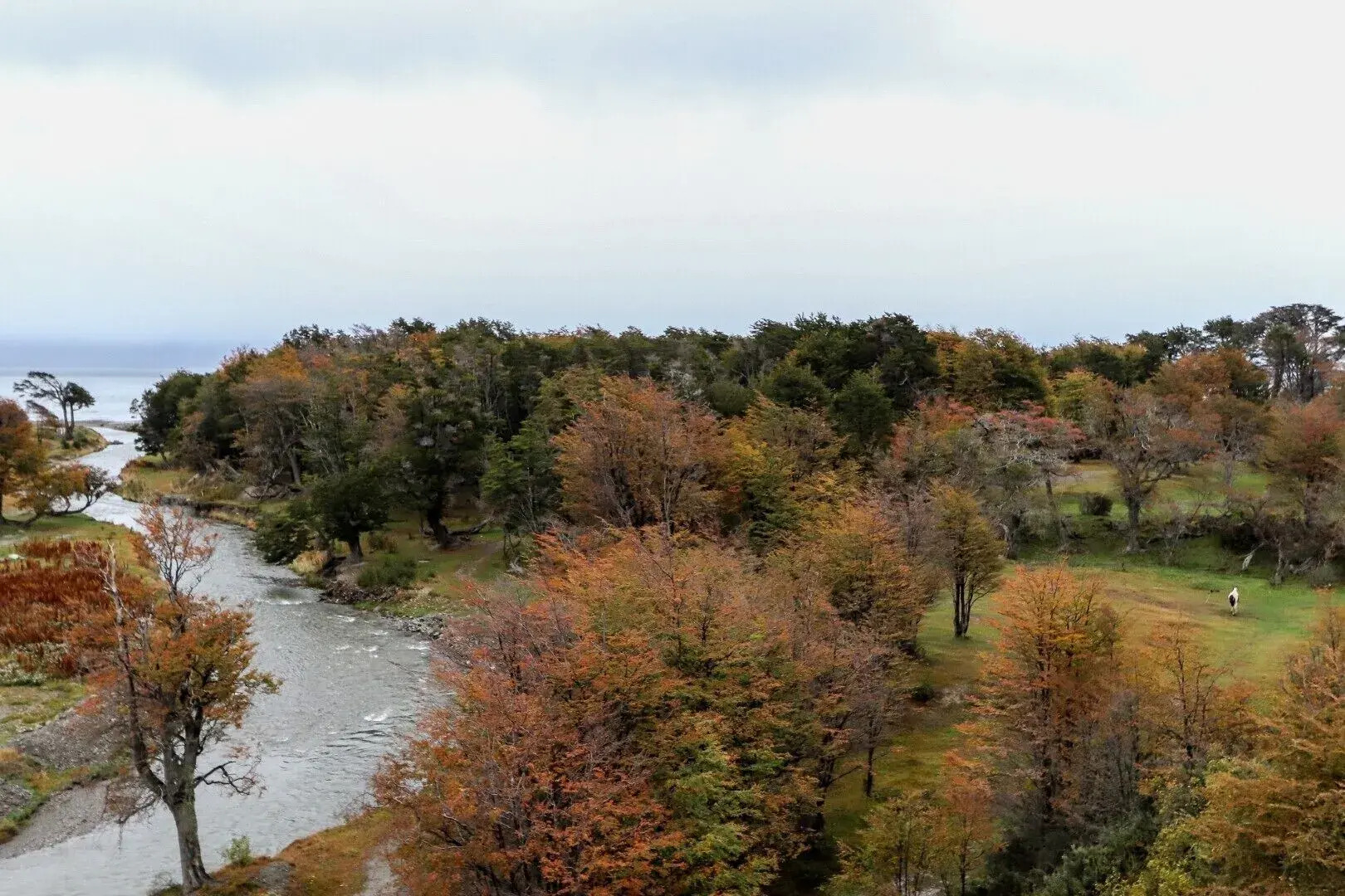 Terrazas del Beagle Apartamentos