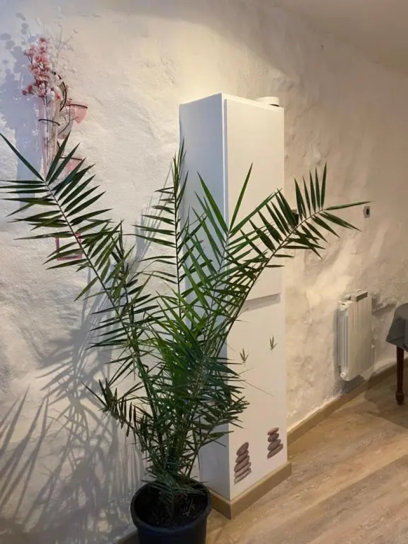 gite pasteur occitanie