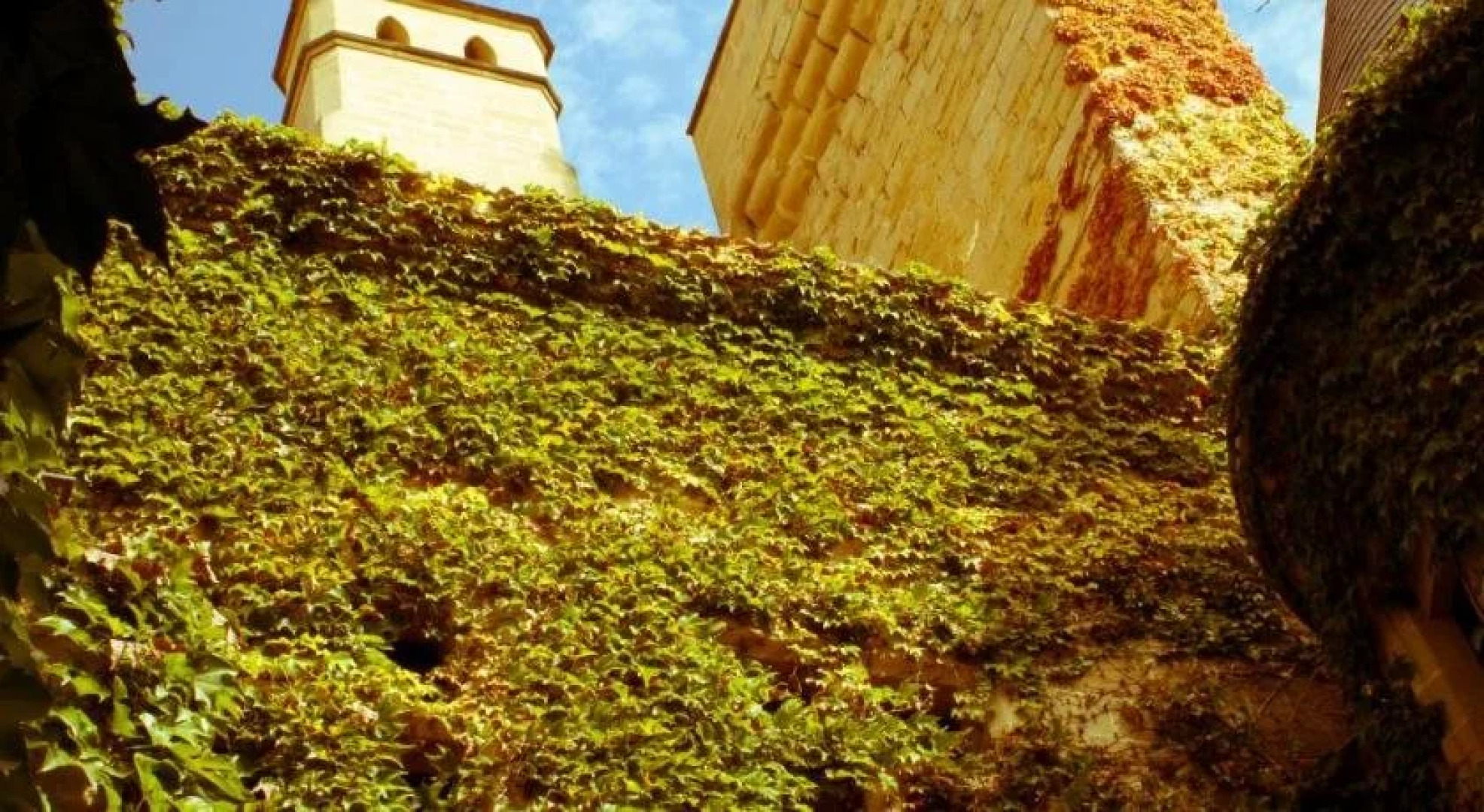 Hotel Restaurante Casa Zanito