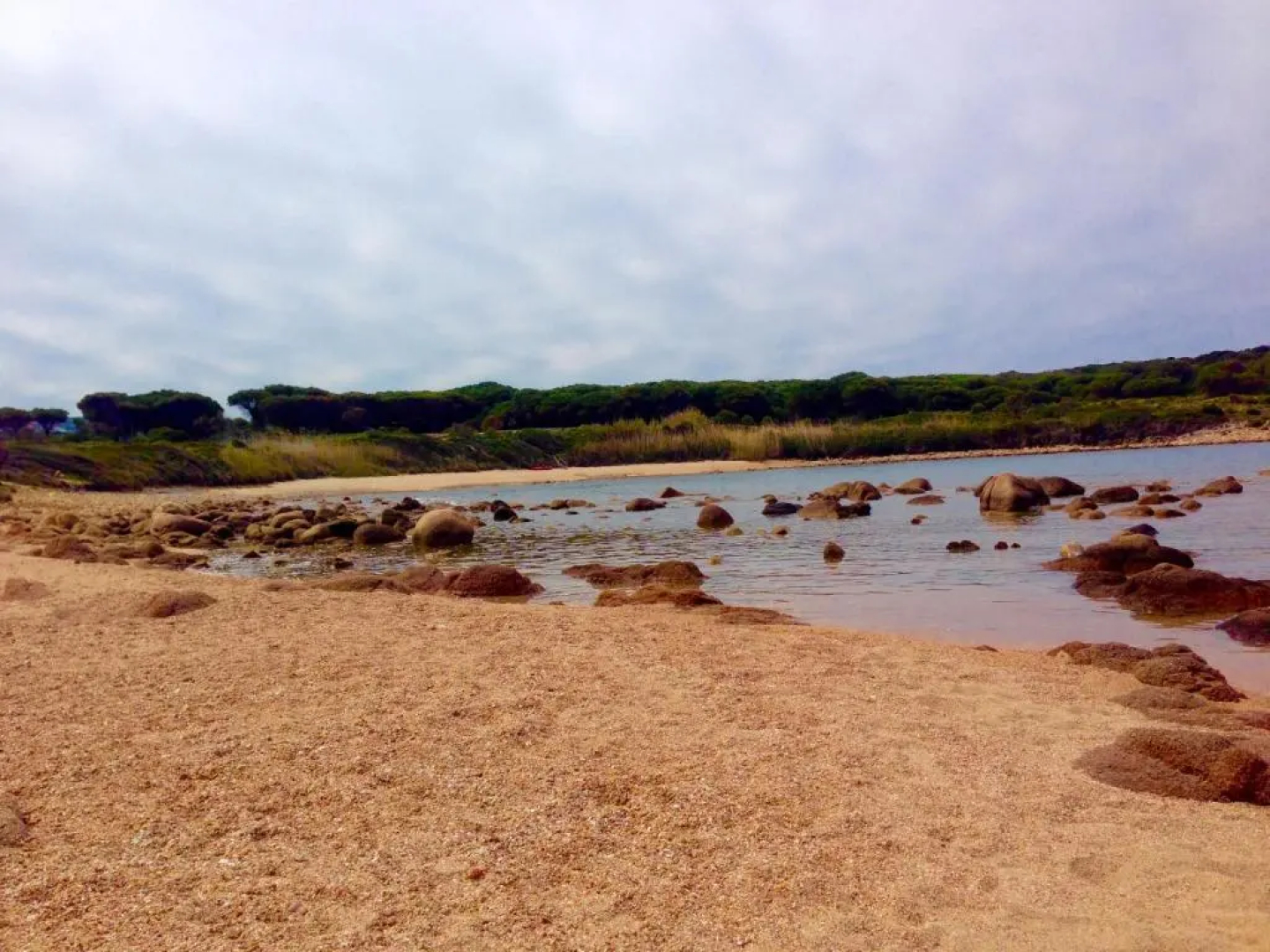 Sardegna per 5