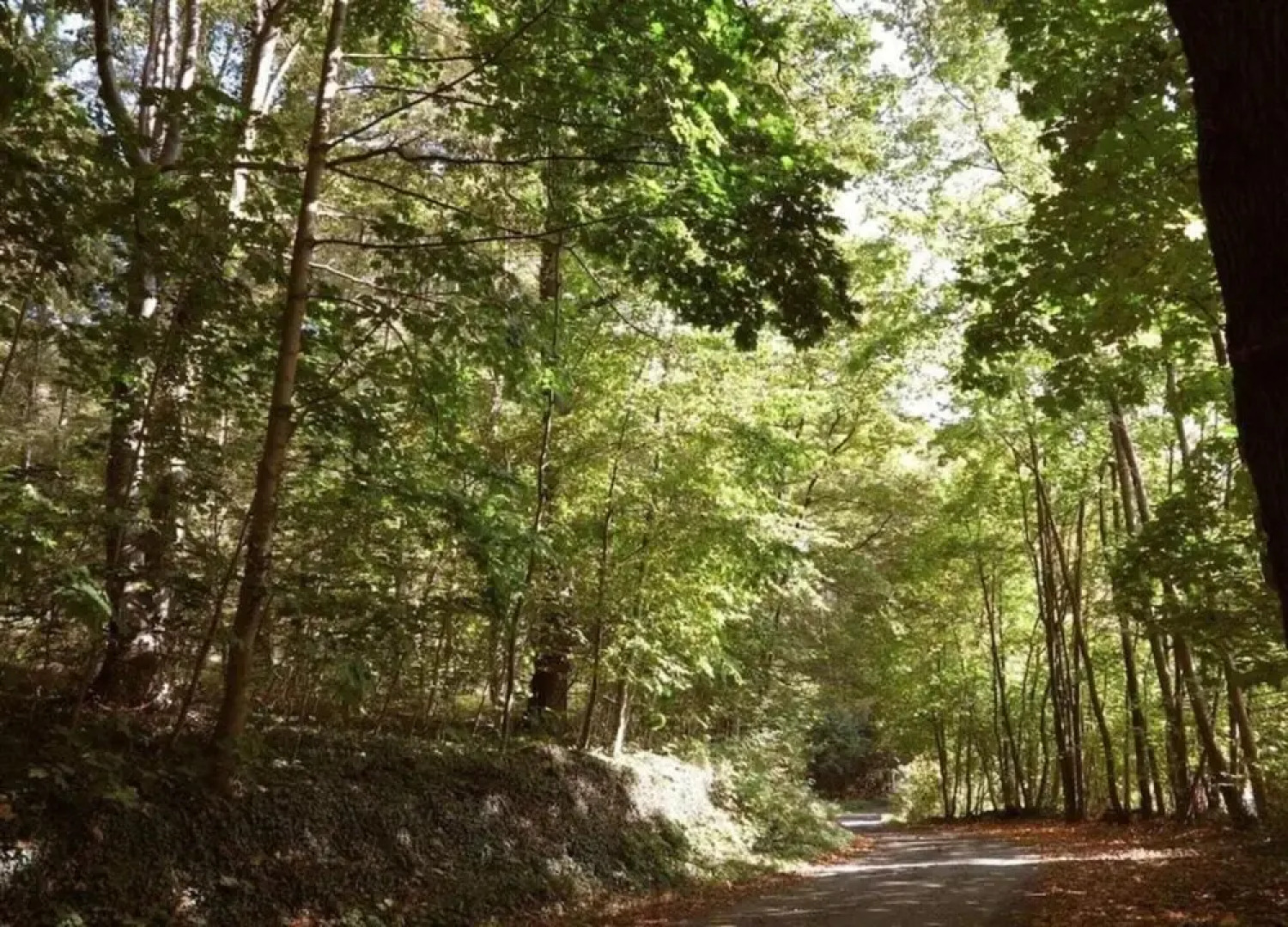 Vintage Holiday Home With Private Terrace