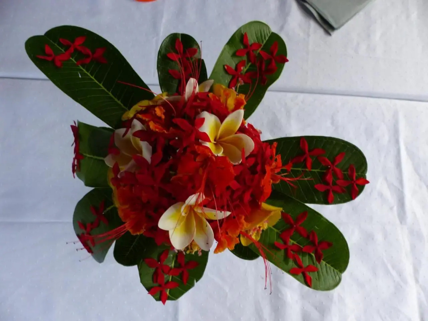 Residence Maison Müge