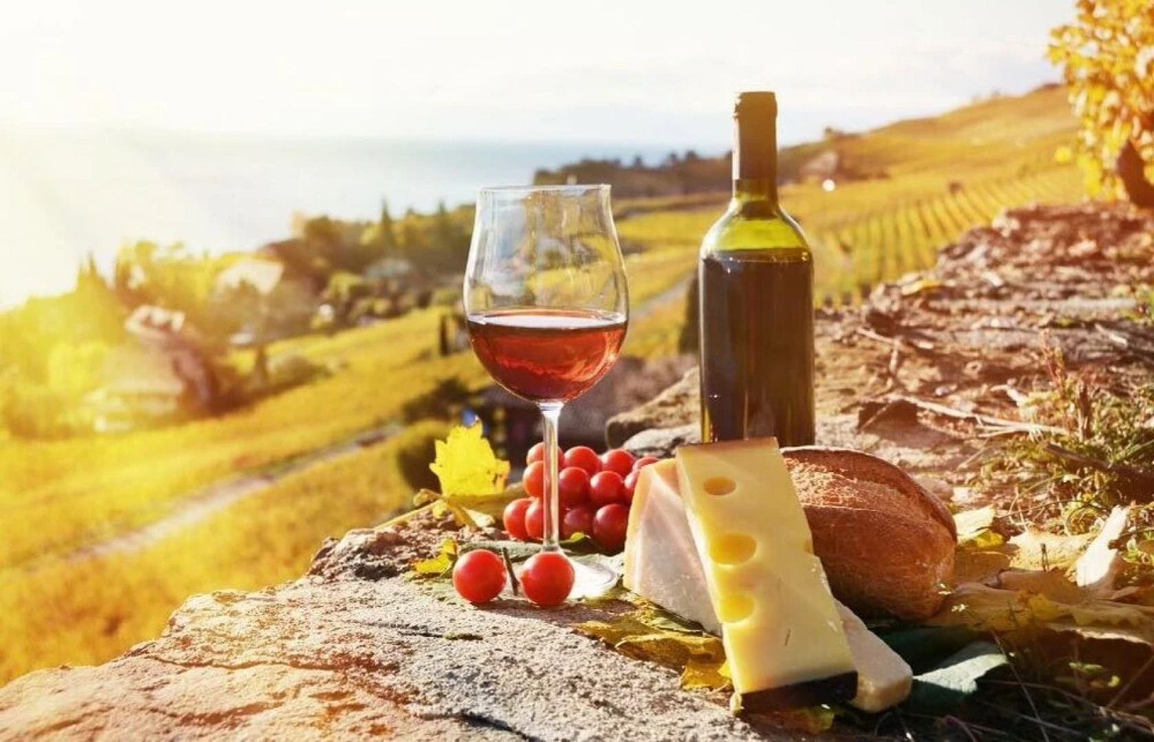 Studio Cottage At The Wines