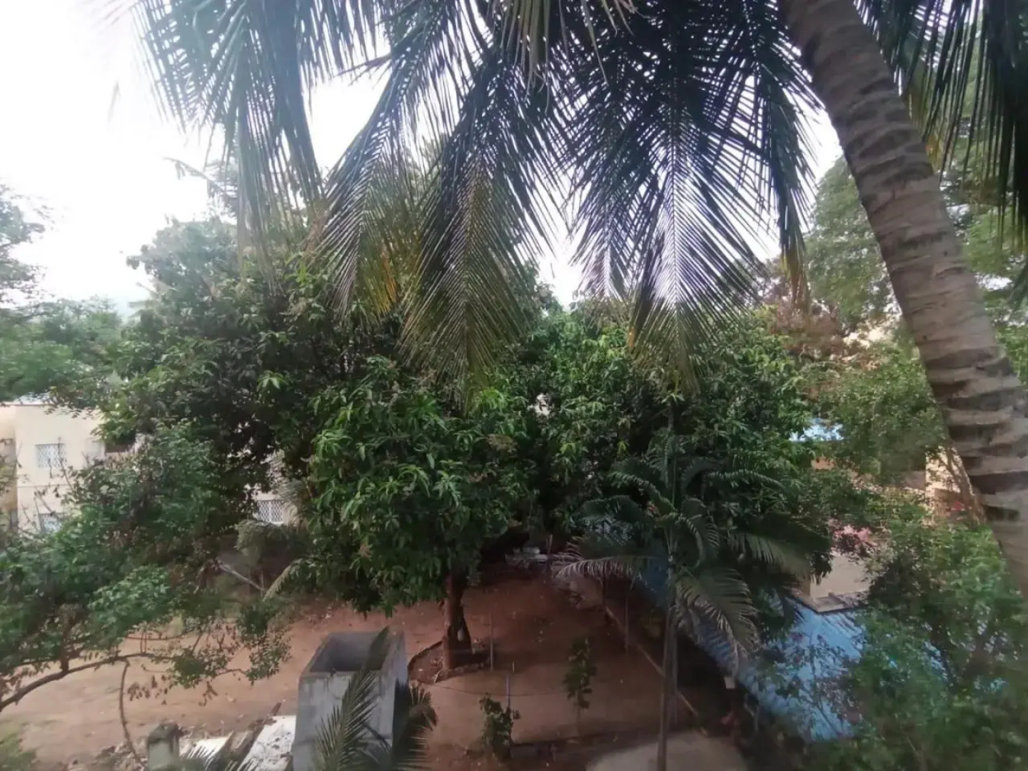 Shankara Guest House