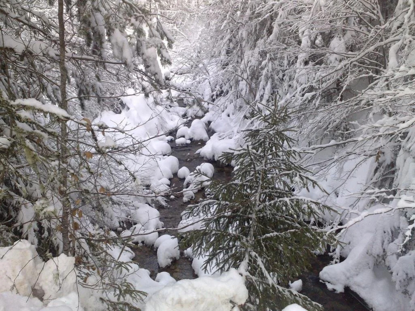 Kasta Bella Guesthouse