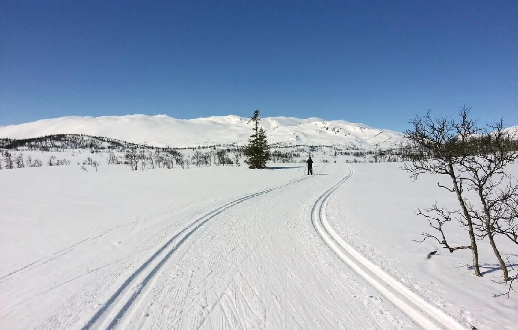 Nice Home in Rauland With 3 Bedrooms and Wifi