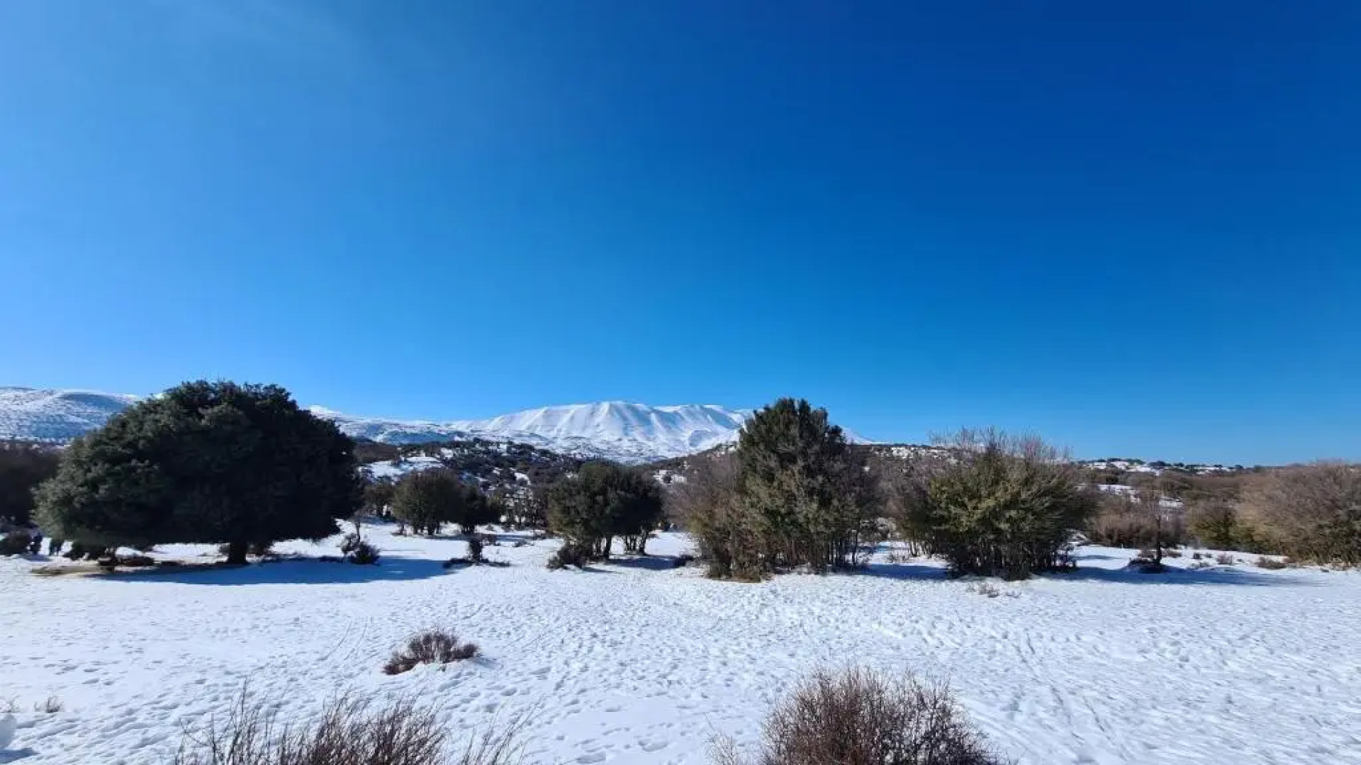 ''Prasini Folia'' Apartments - Apartment ''IDA''