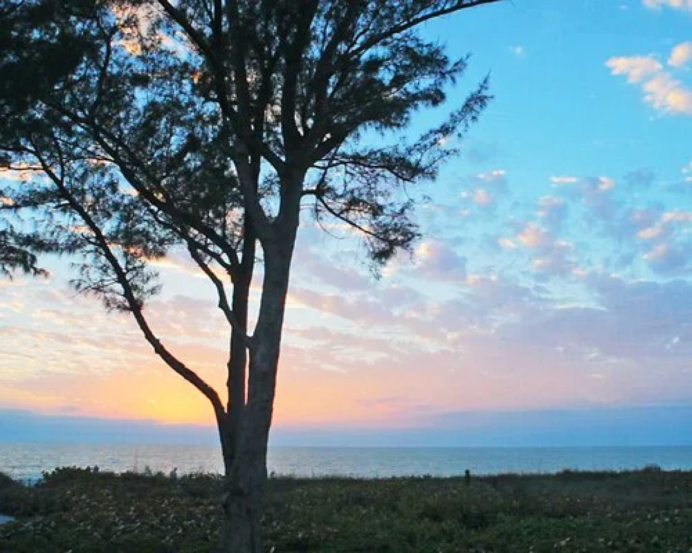 Hilton Grand Vacations Plantation Beach Club at South Seas Island Resort