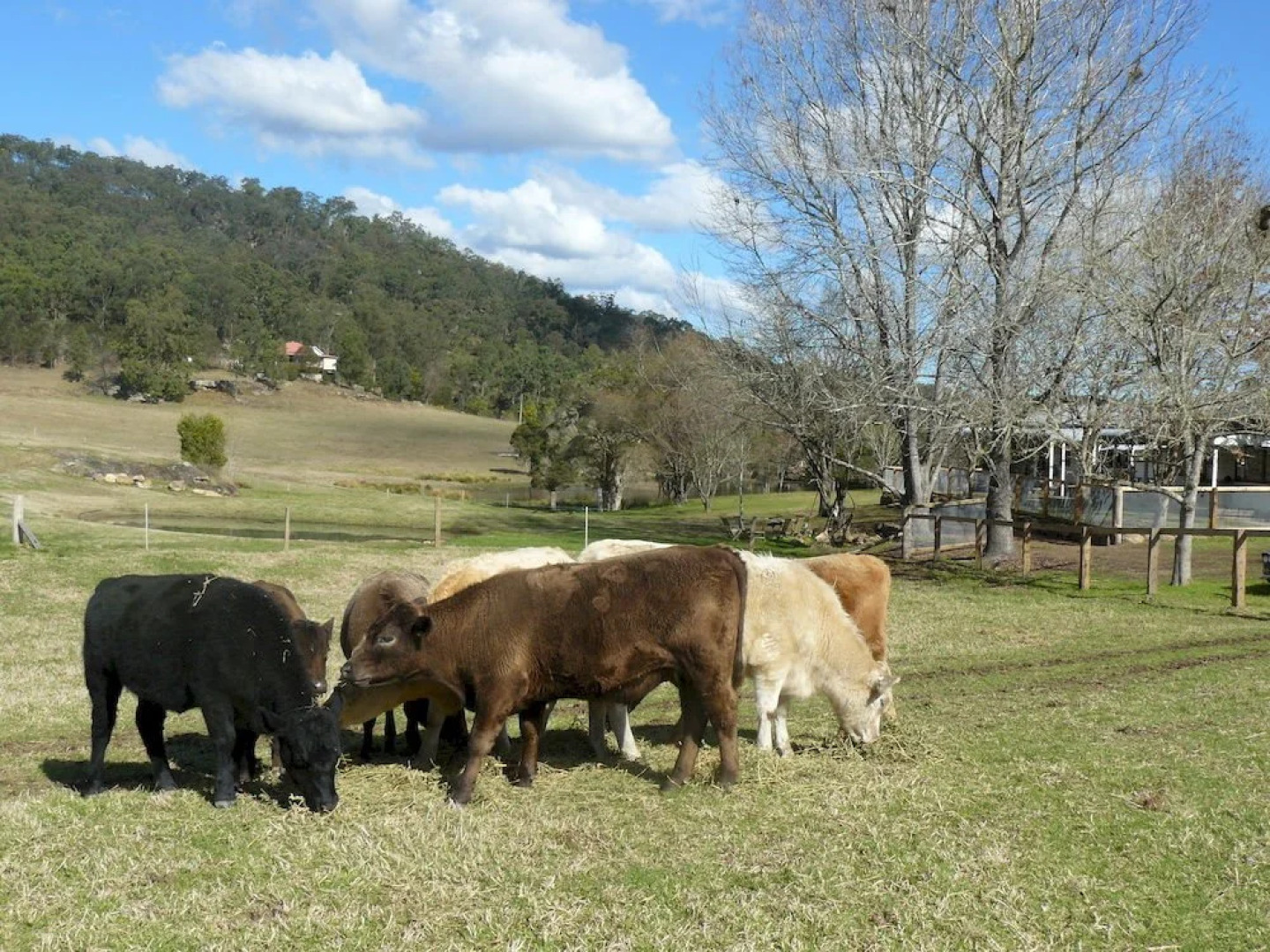 Avoca House & Cottage Accommodation Wollombi