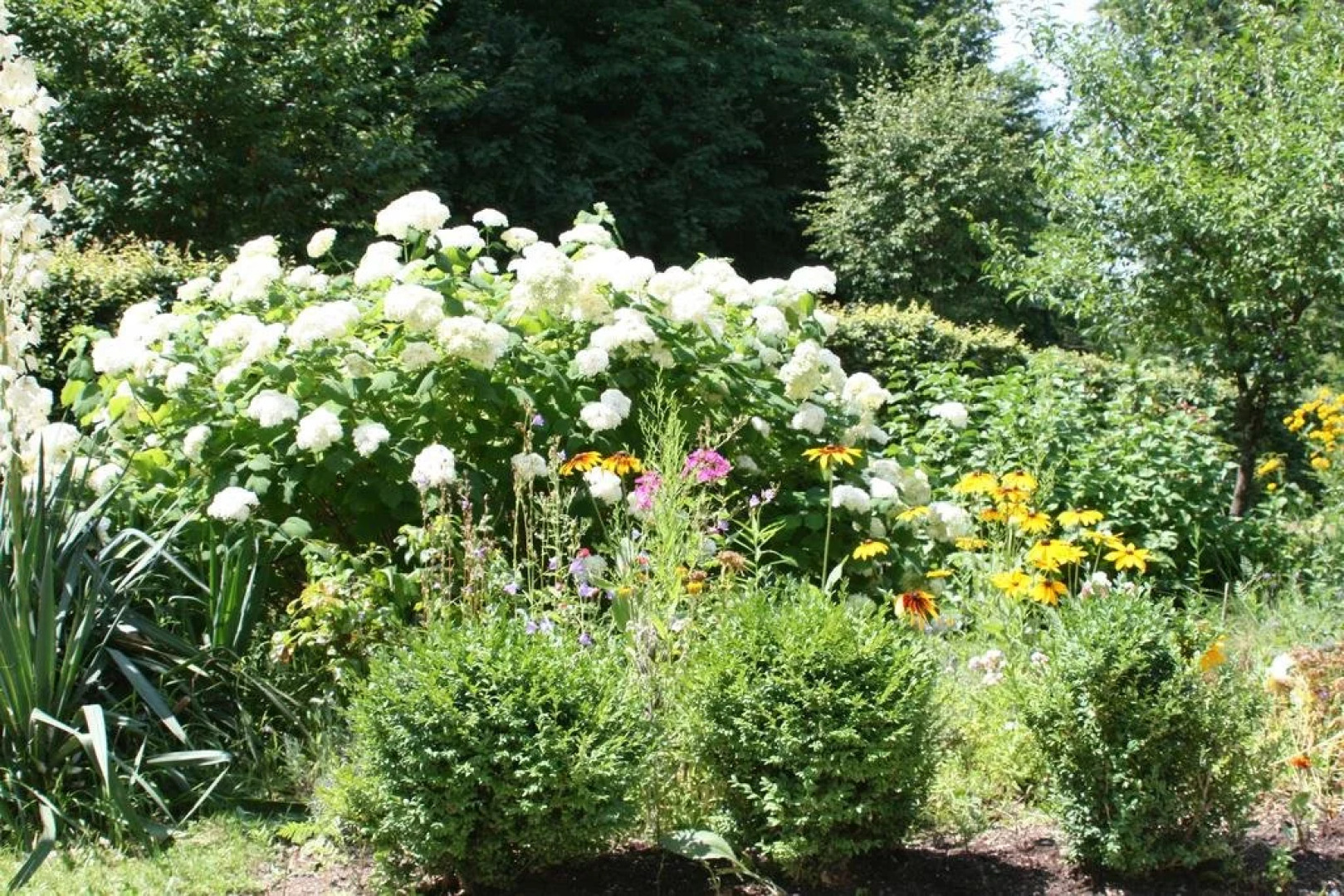 Seeappartements Excelsior