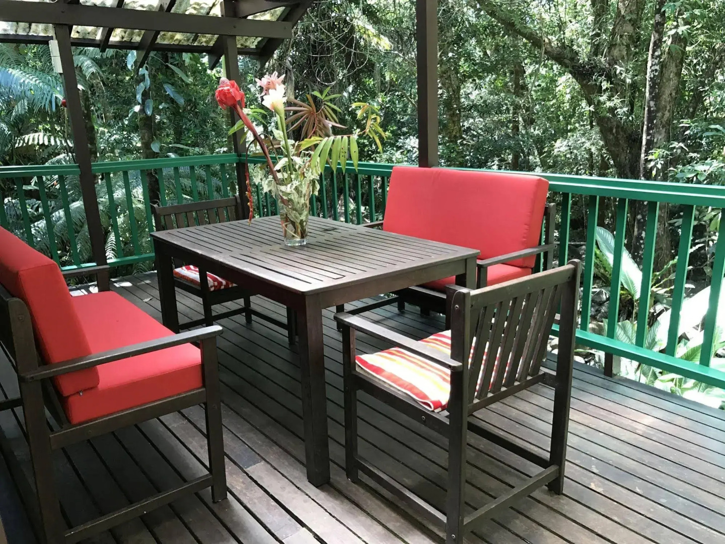 Daintree Secrets Rainforest Sanctuary