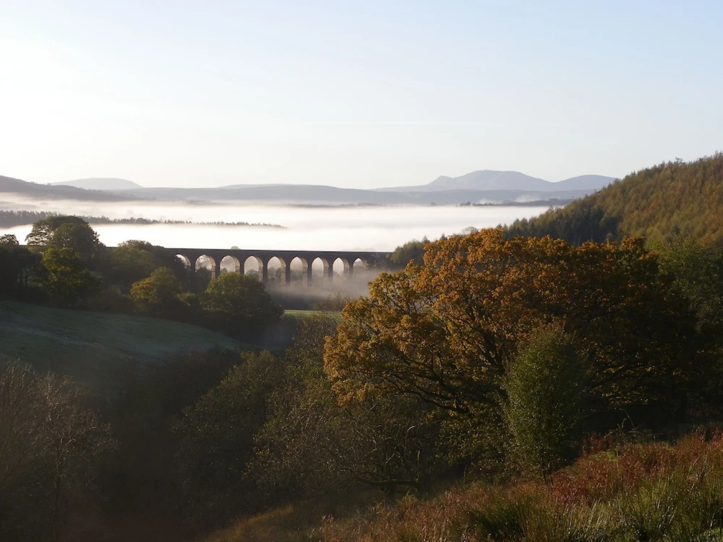 Llanerchindda Farm Guest House