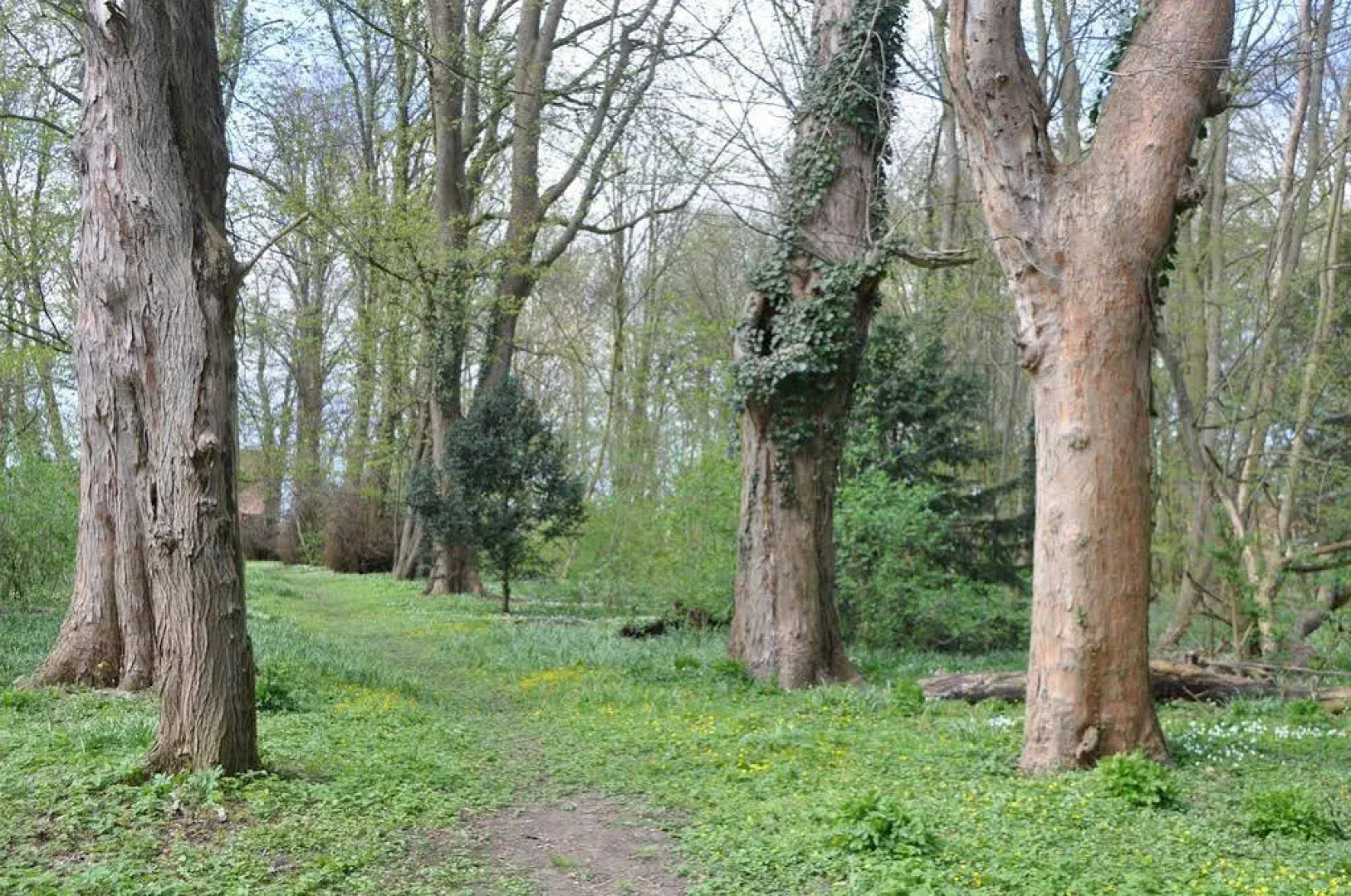 Schlosshotel Nordland