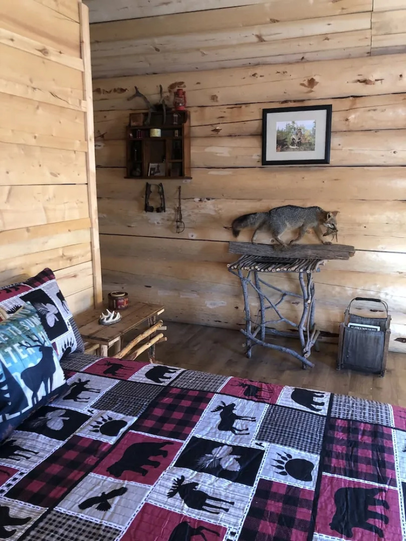 Wrangell Mountain Lodge