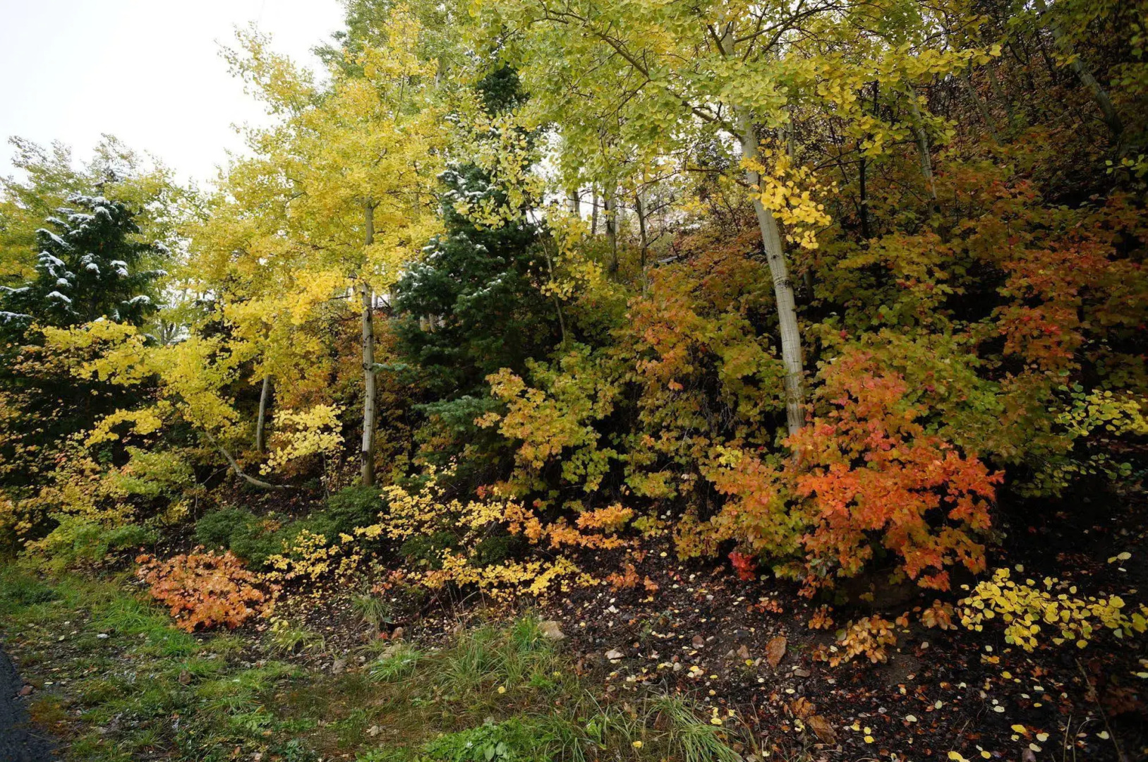 Abode at Racquet Club