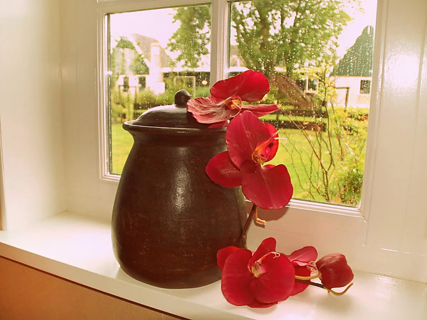 Wiringherlant 40886