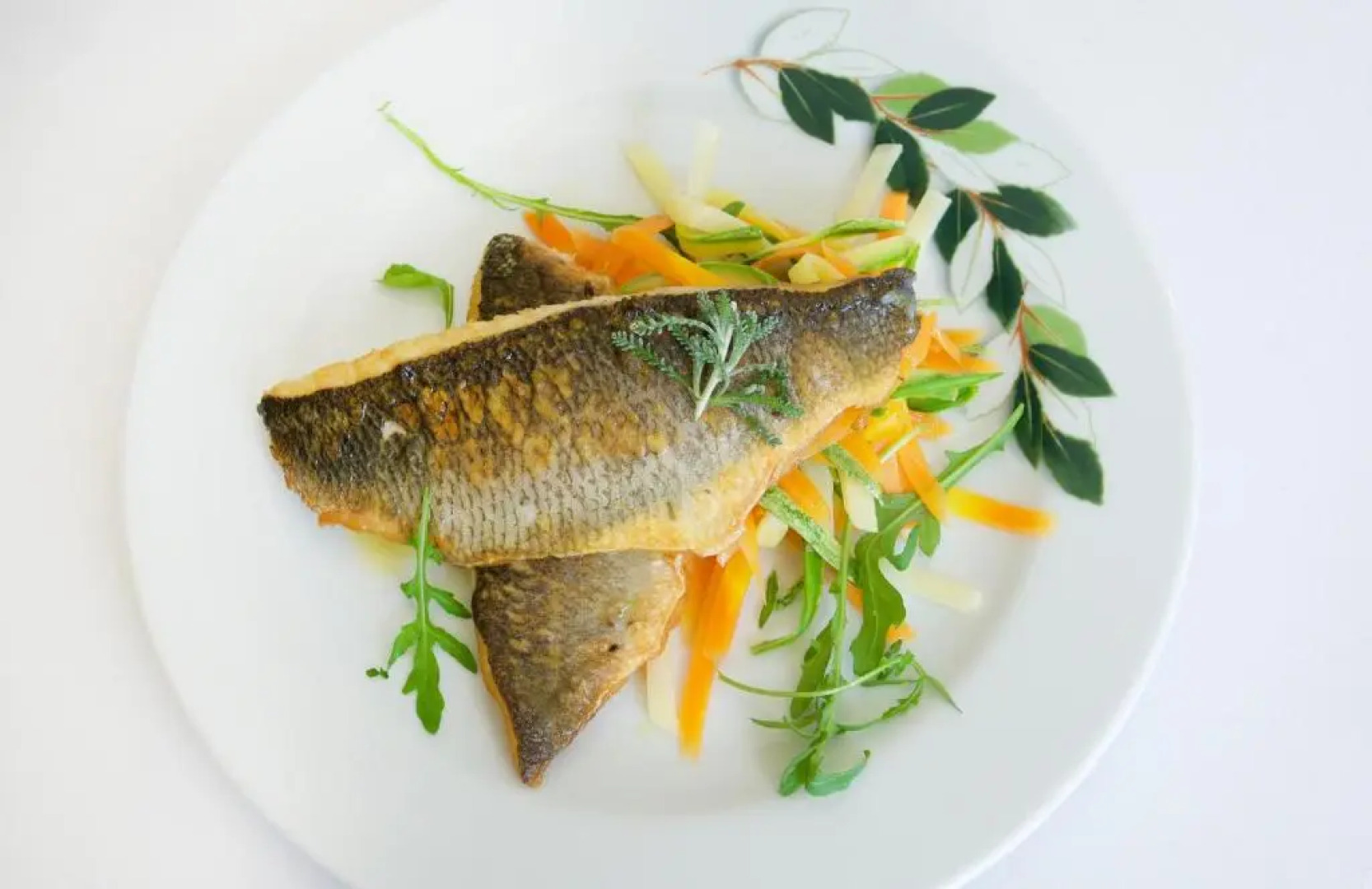 Albatros Spa & Resort Hotel