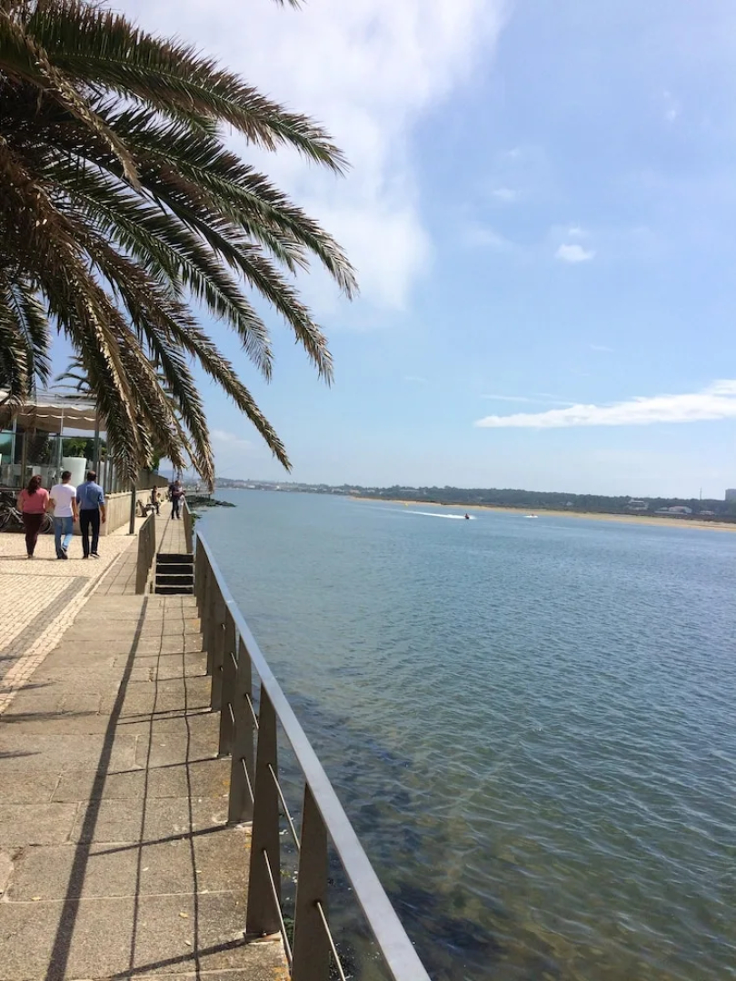 Studio in Esposende, With Wonderful Lake View, Pool Access, Enclosed G