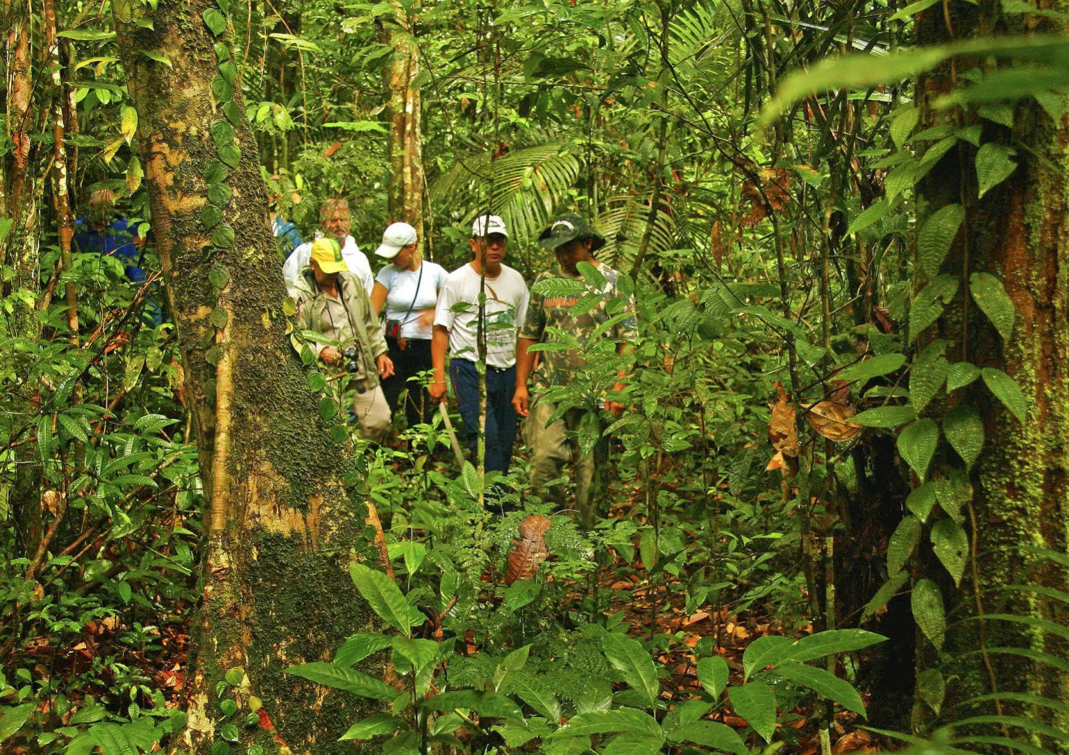 Amazon Clipper Premium