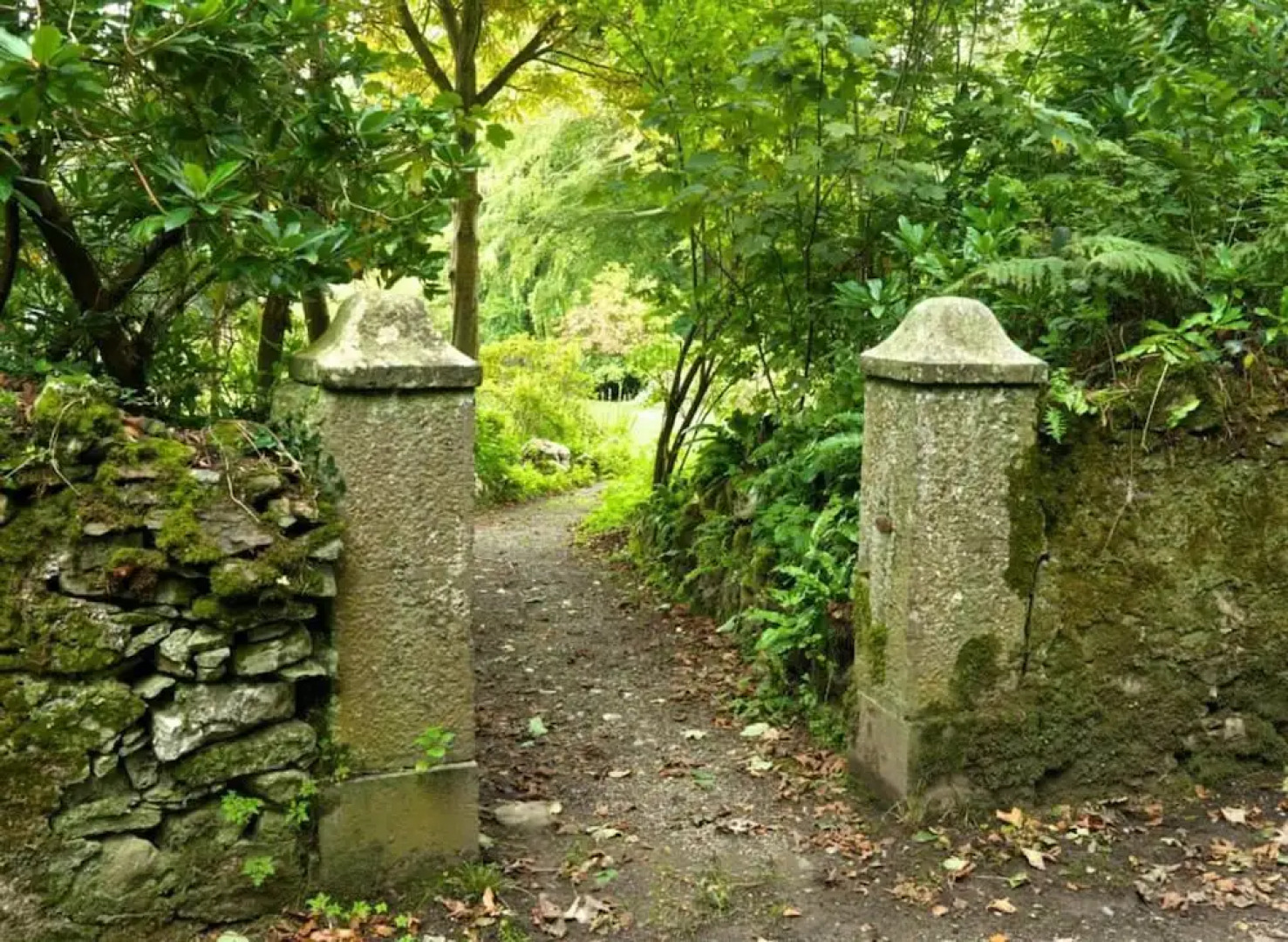 14 'zosma' Bell Tent Glamping Anglesey