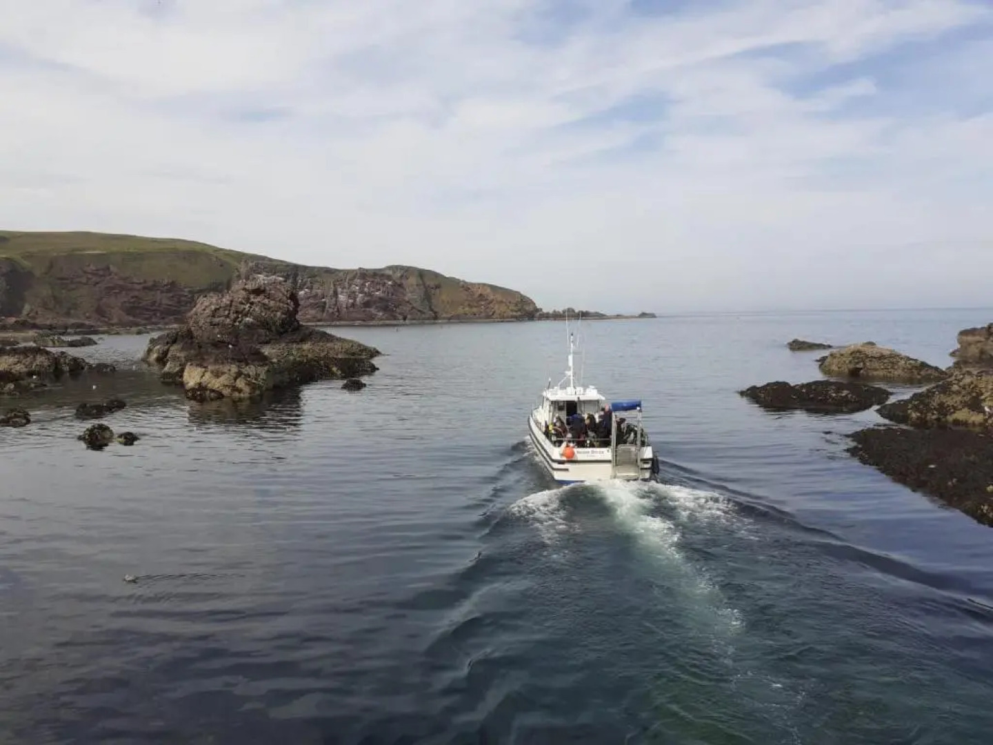 Elmbank Accommodation