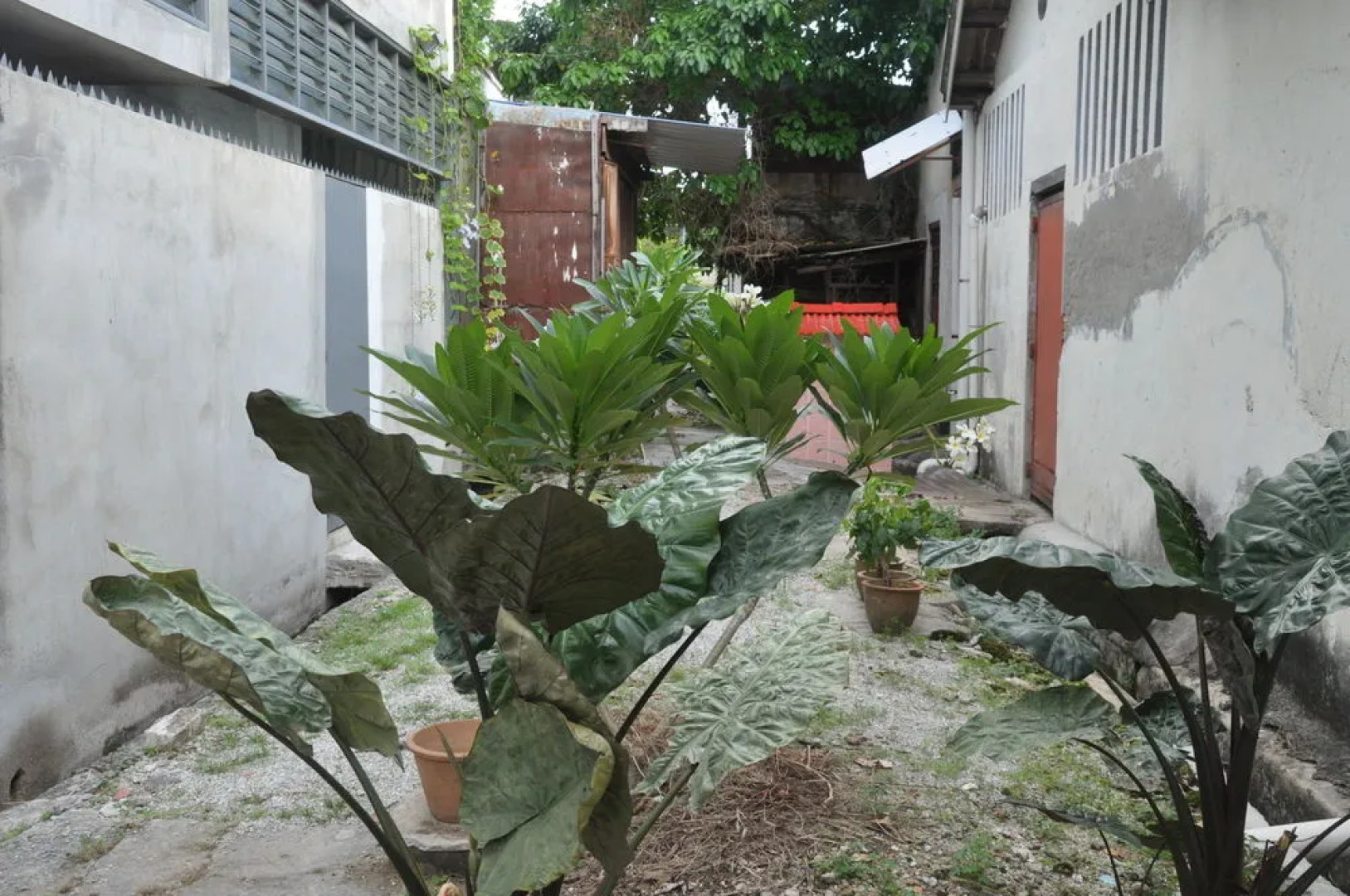 My Guesthouse 109 - Adults Only