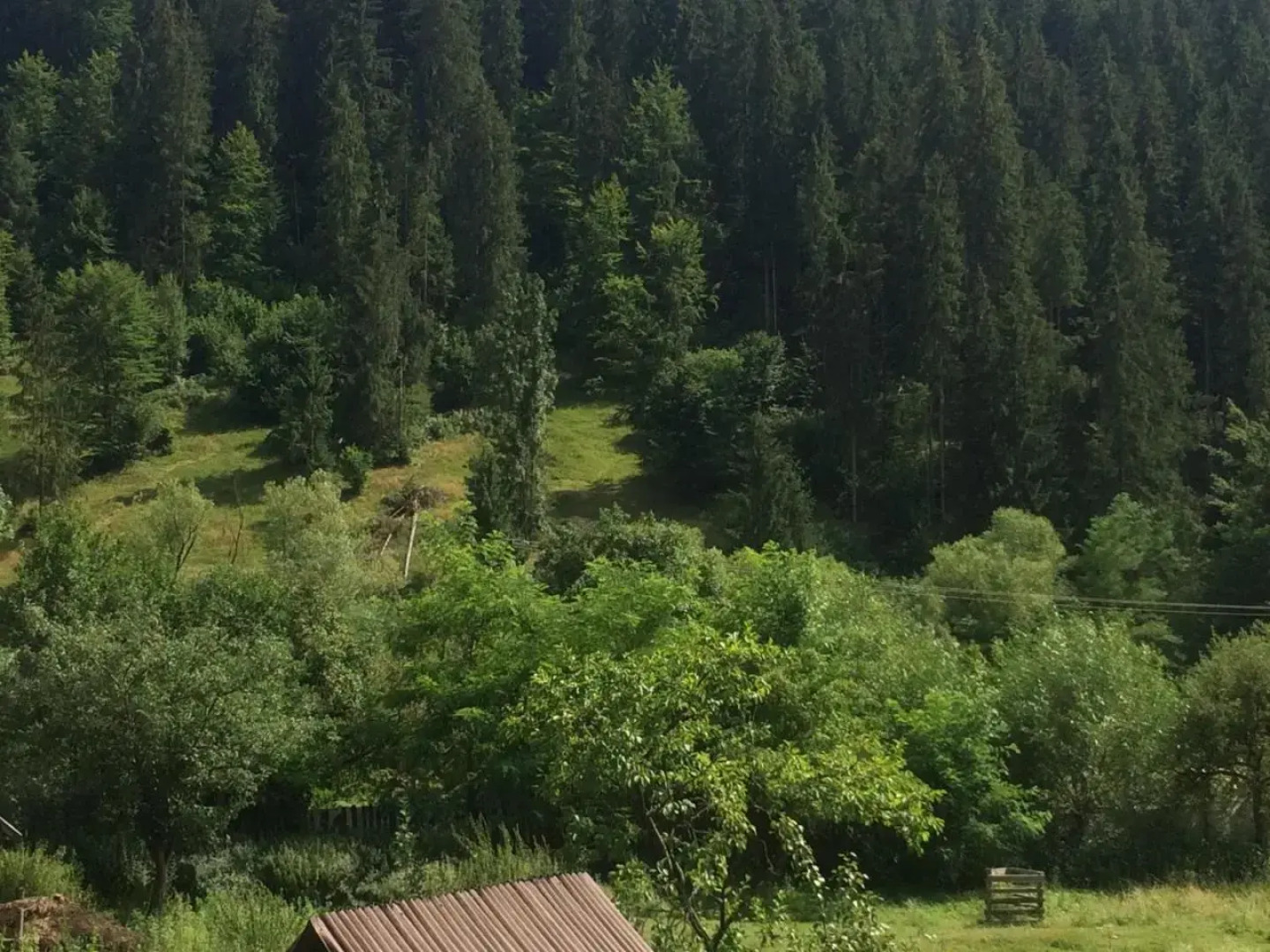 Casa de Vacanta Joldes