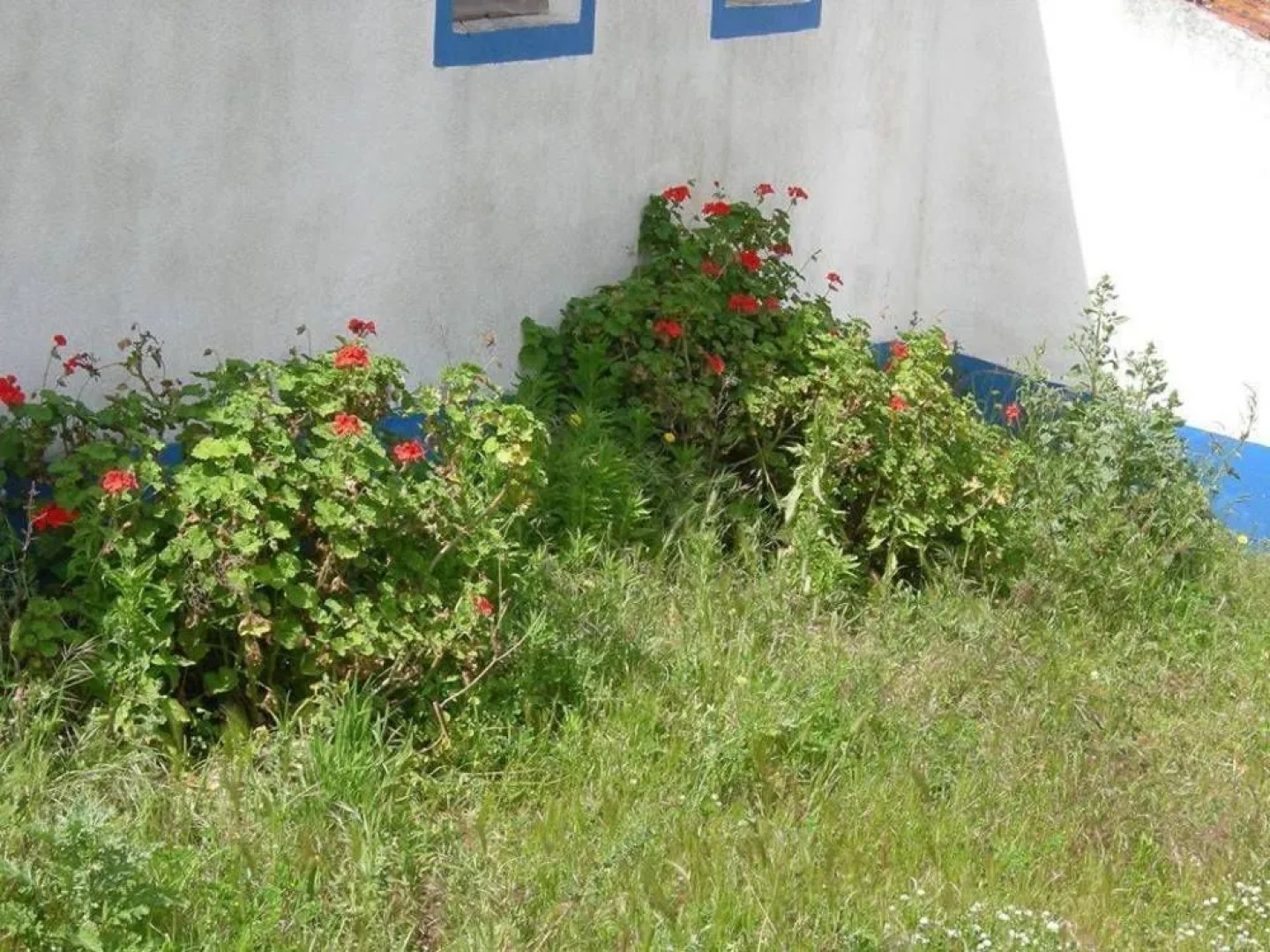 Monte Cabeço do Ouro