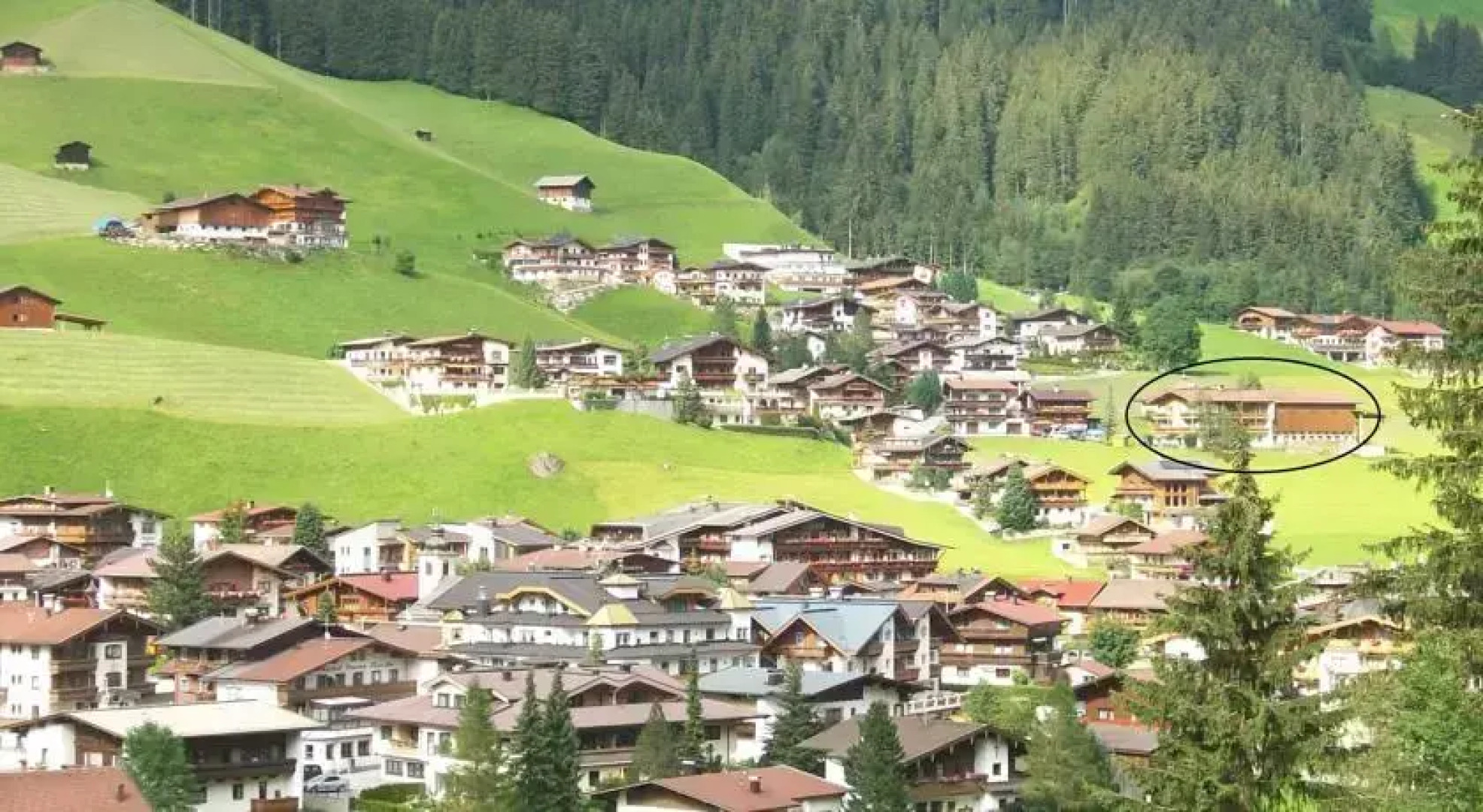 Frühstückspension Birkenhof