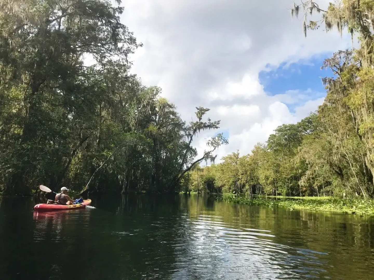The Pineapple Cottage